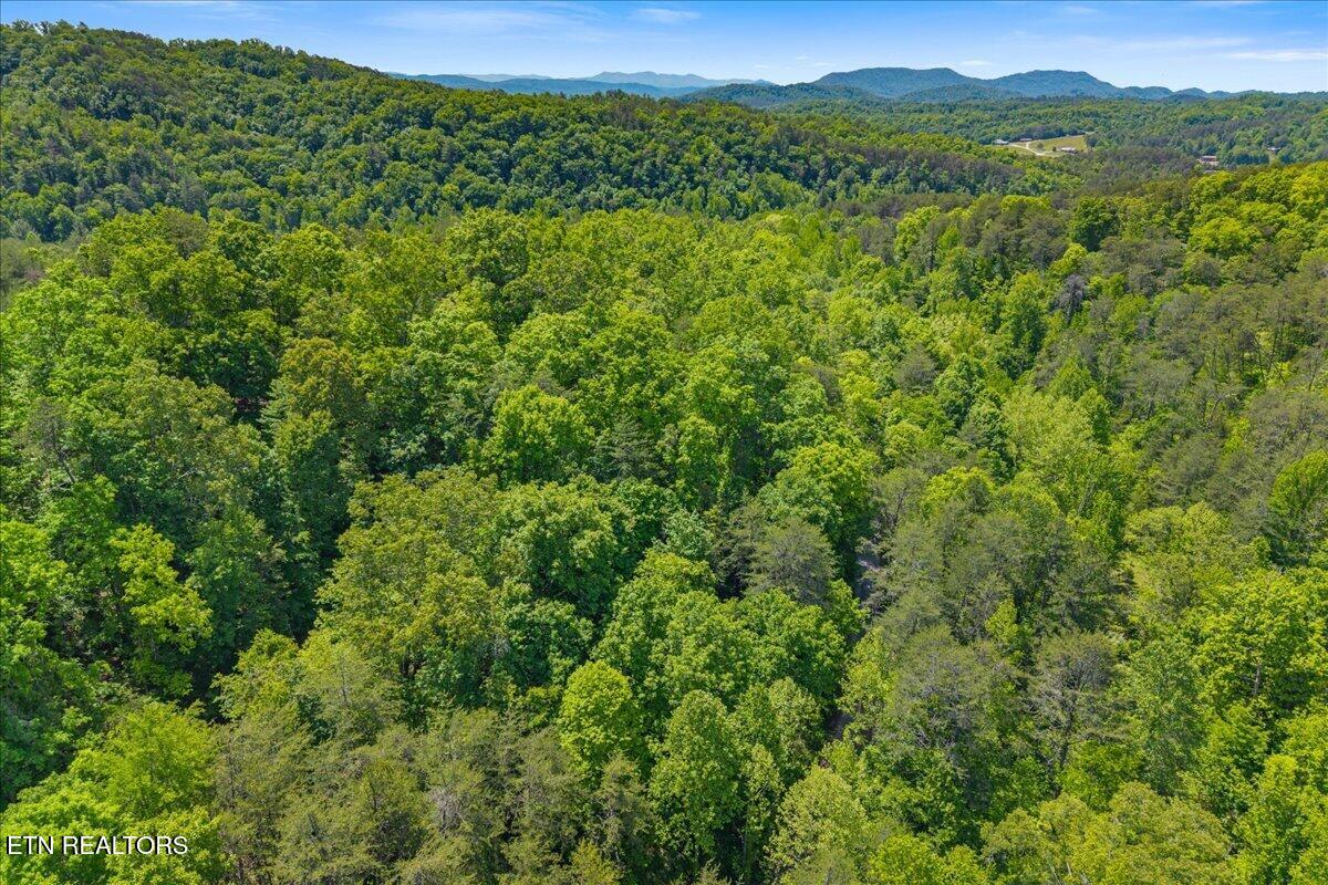 215 Citico Rd. Lot 1 Rd, Vonore, TN 37885 — photo 3