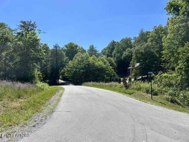 325 Beckett Ridge Rd, Townsend, TN 37882 — photo 3
