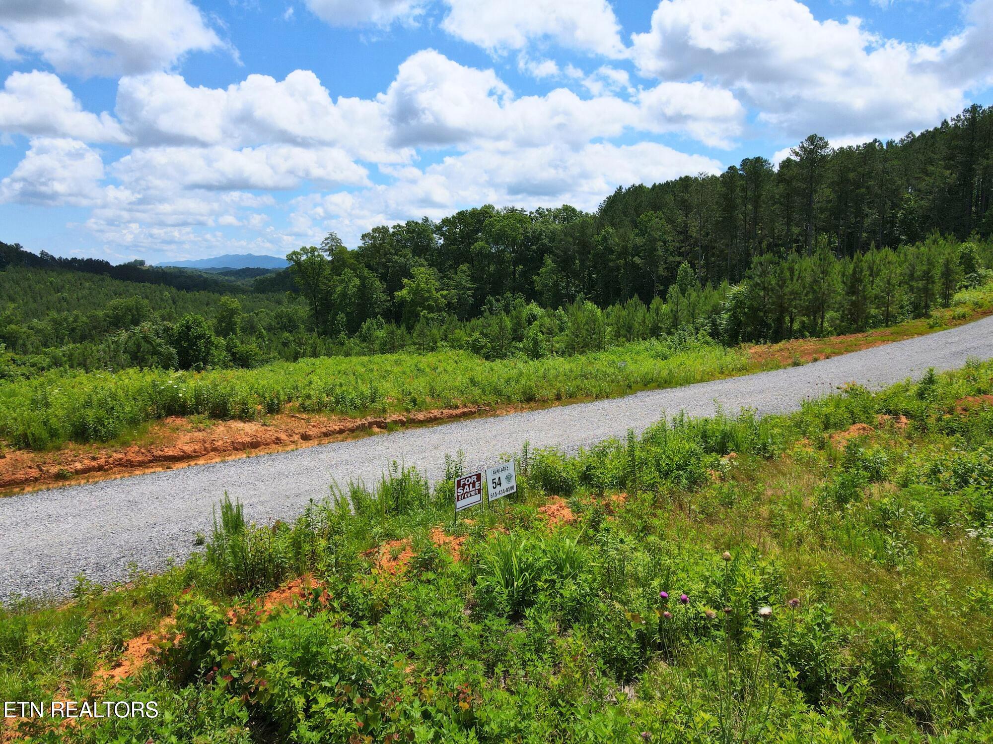 Lot 54 Three Point Rd, Vonore, TN 37885 — photo 2