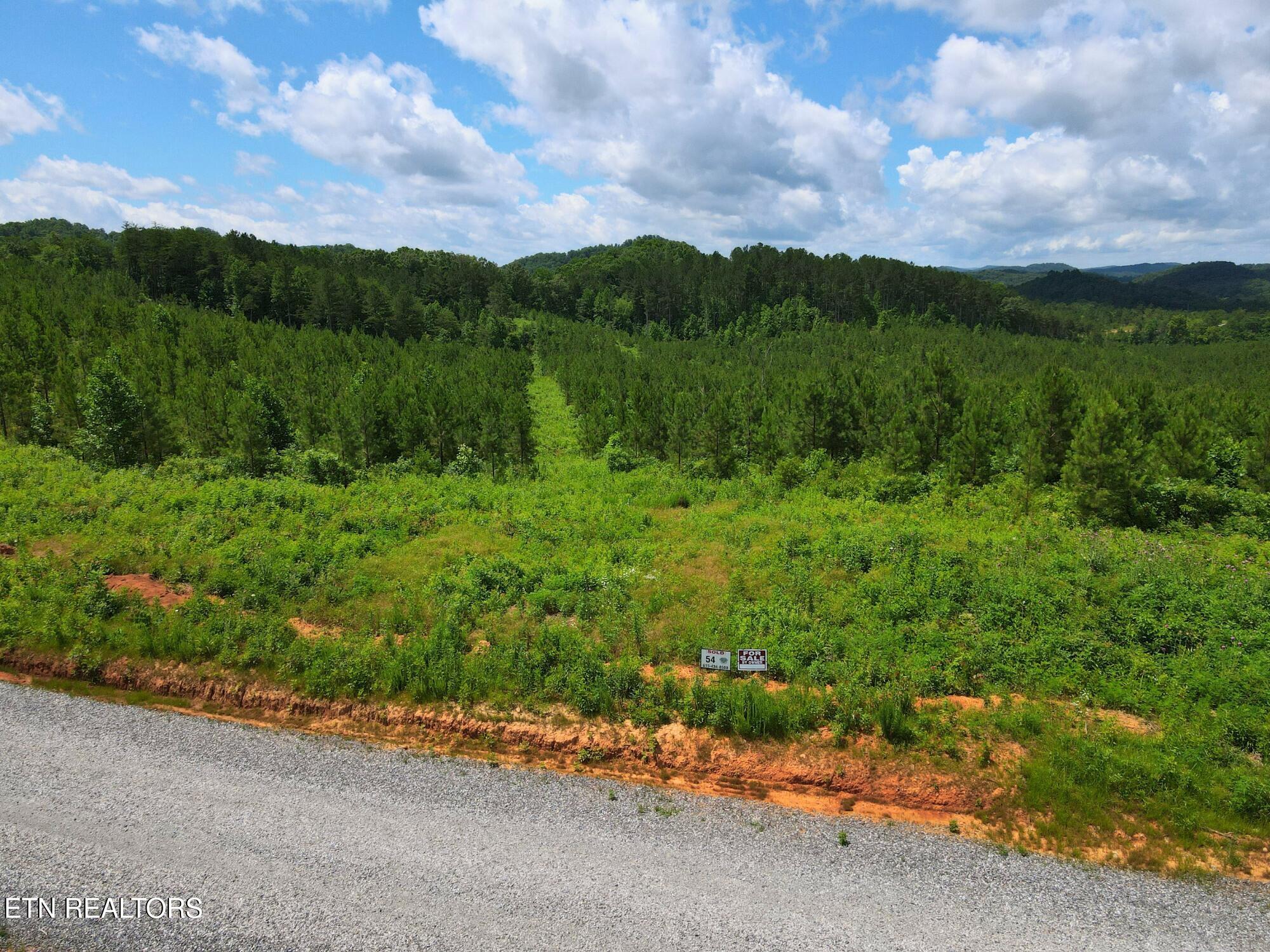Lot 54 Three Point Rd, Vonore, TN 37885 — photo 3