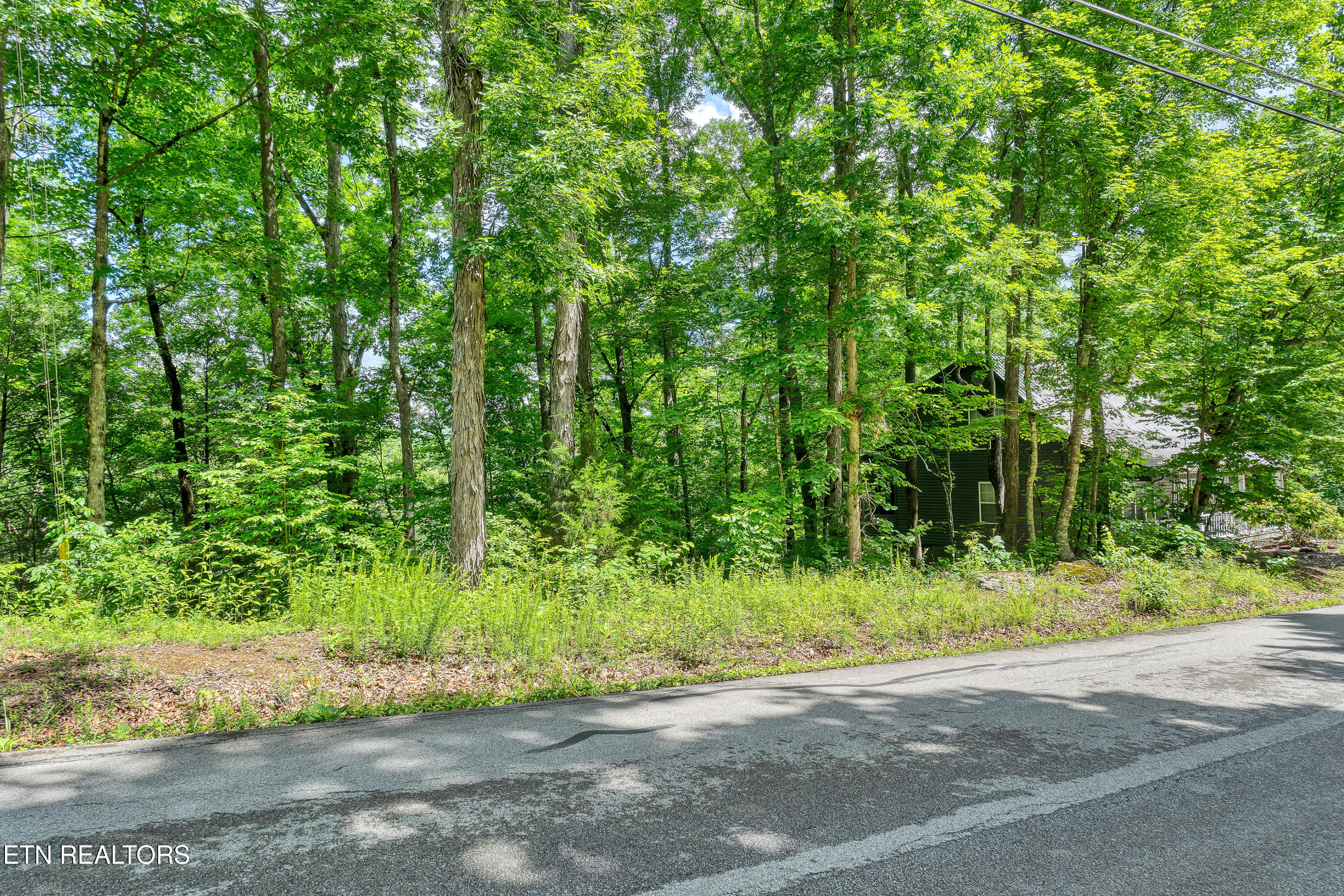 424 Laurel Road, Townsend, TN 37882