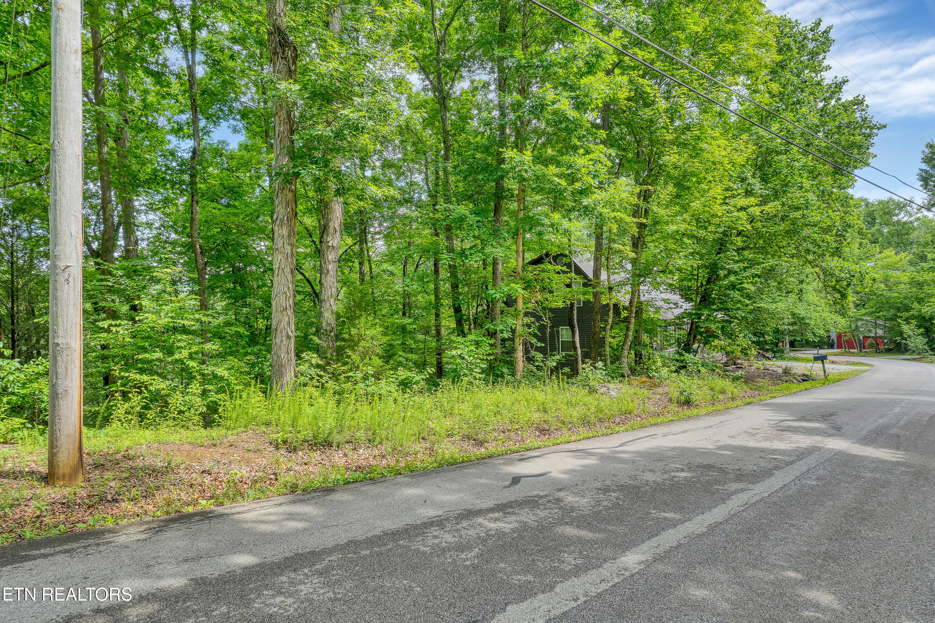 424 Laurel Road, Townsend, TN 37882 — photo 2