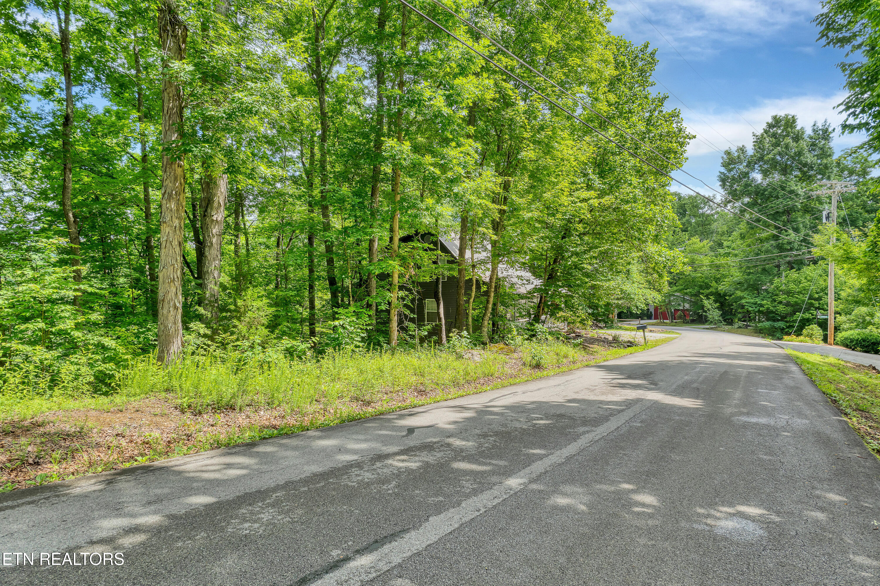 424 Laurel Road, Townsend, TN 37882 — photo 3