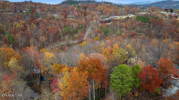887 Holly Branch Rd — photo
