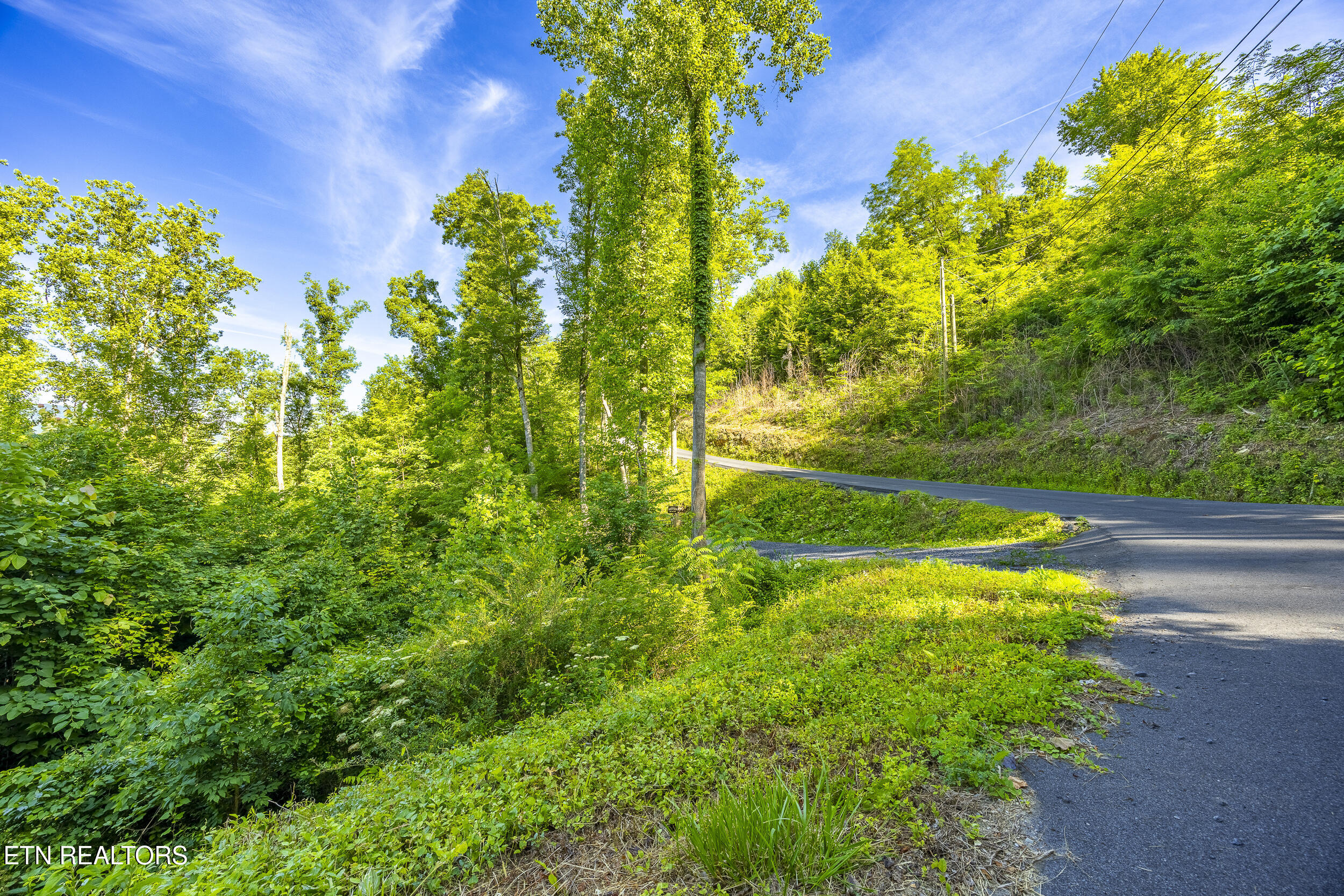 628 Loop Rd, Gatlinburg, TN 37738 — photo 3