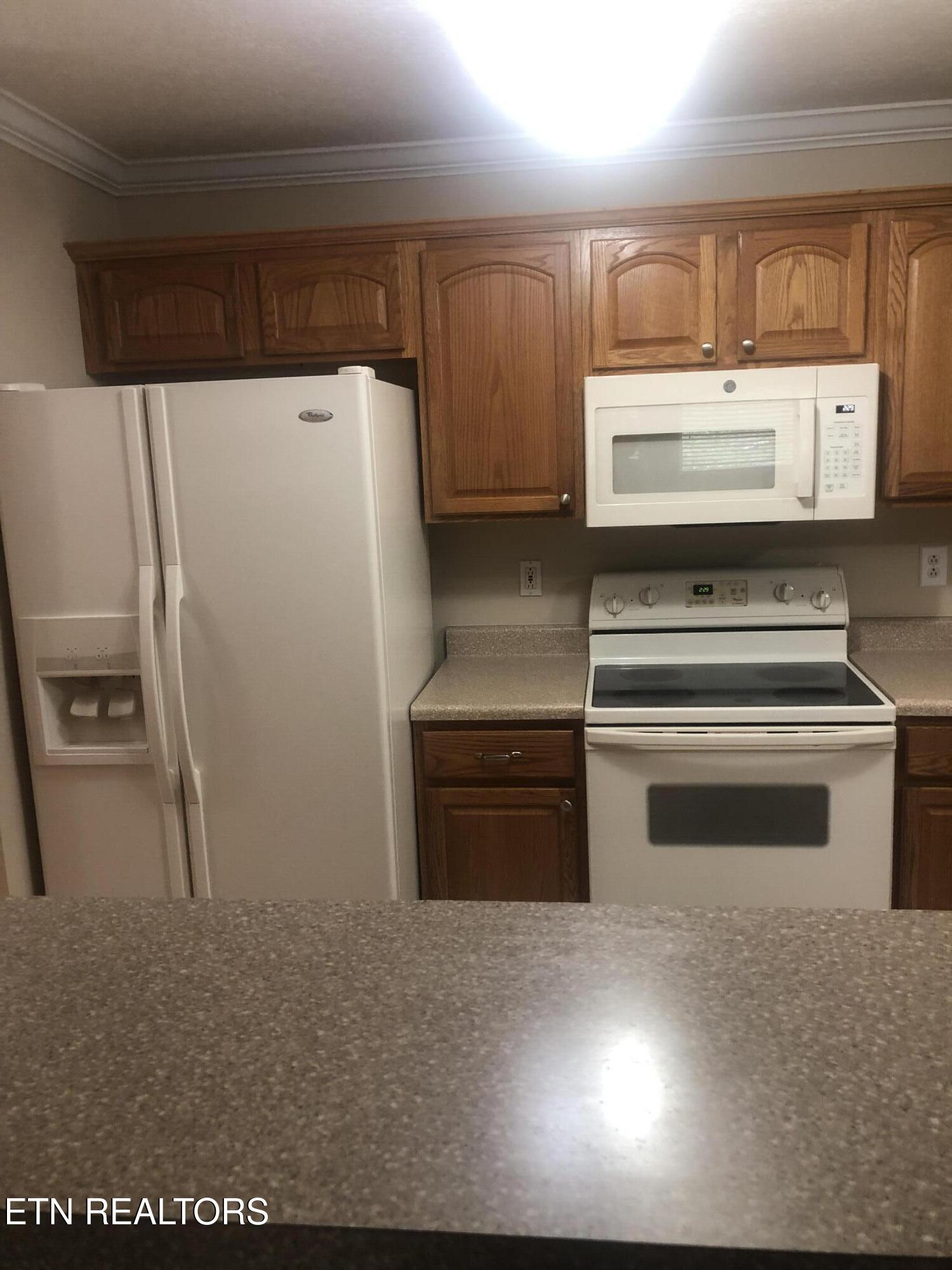 13 Ridgeway Rd #2-G, Norris, TN 37828 — photo 3
