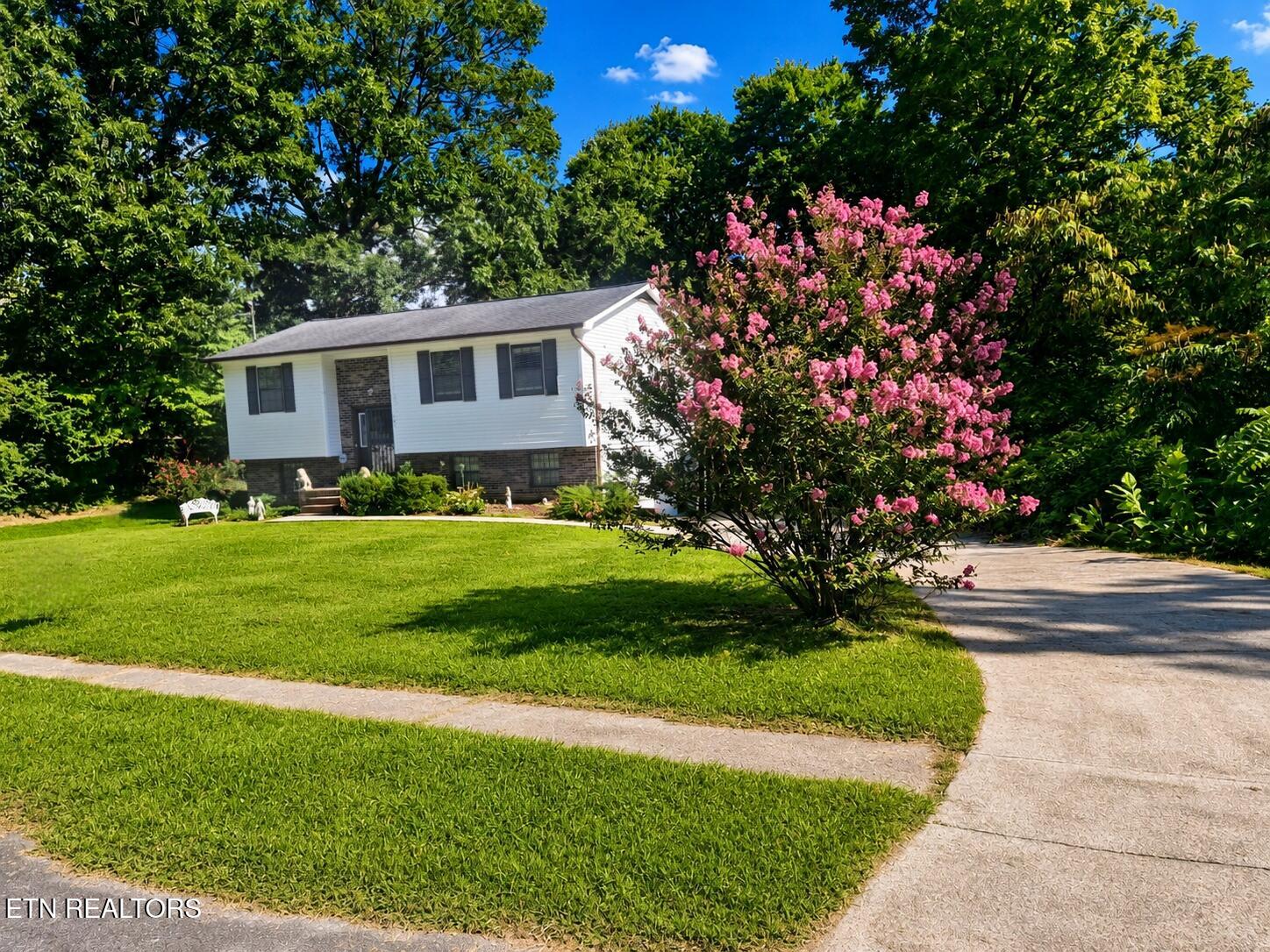 161 Hilltop Lane — photo