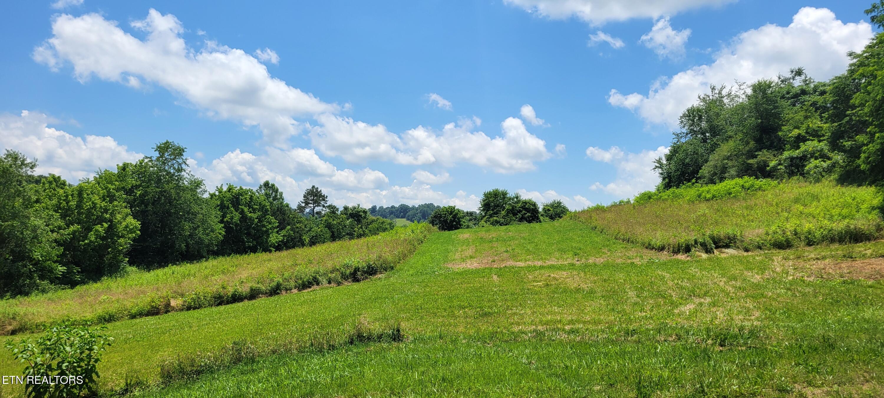 151 Rolen Rd, New Tazewell, TN 37825 — photo 2