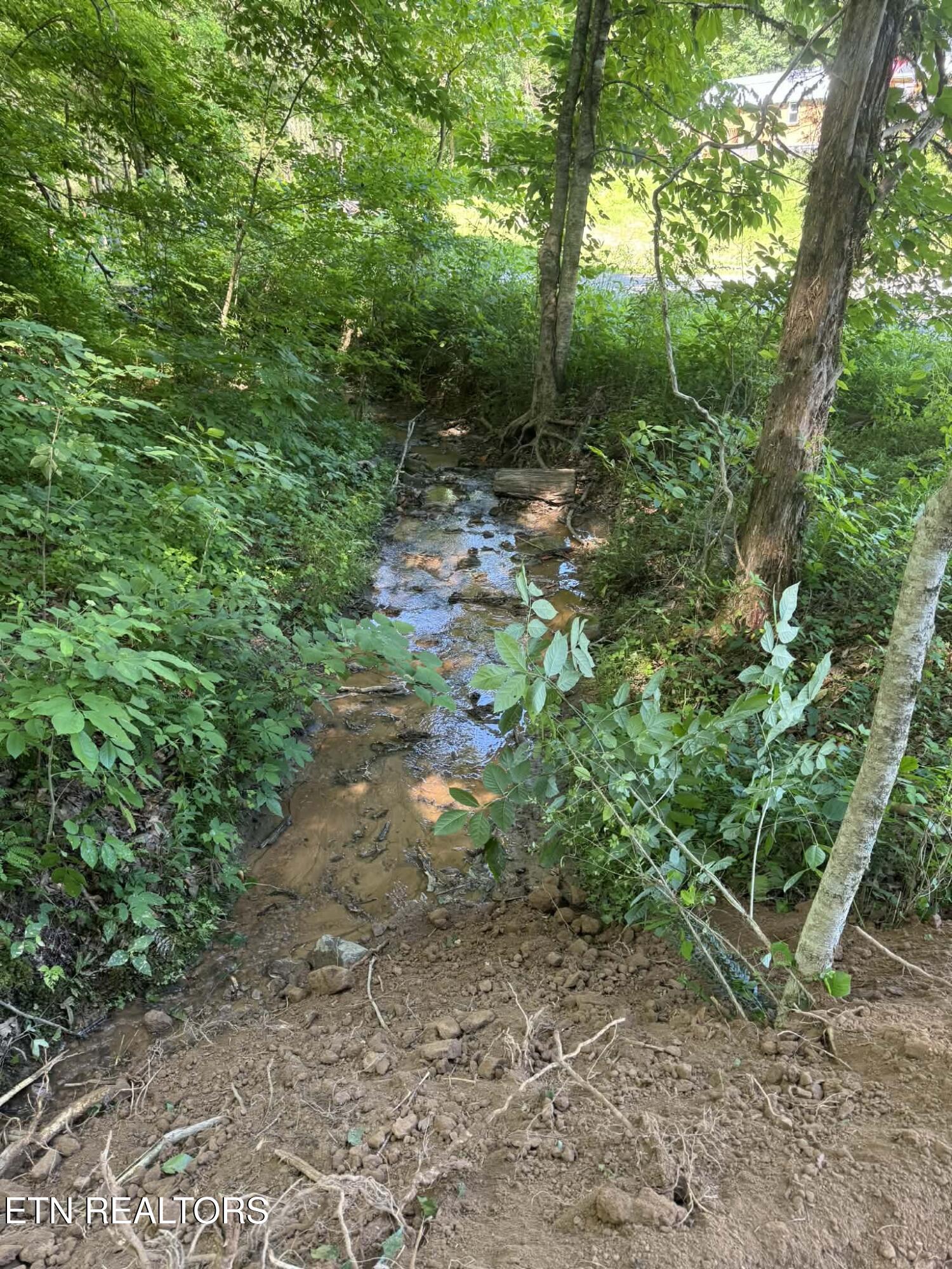 Tower Rd, Tazewell, TN 37879