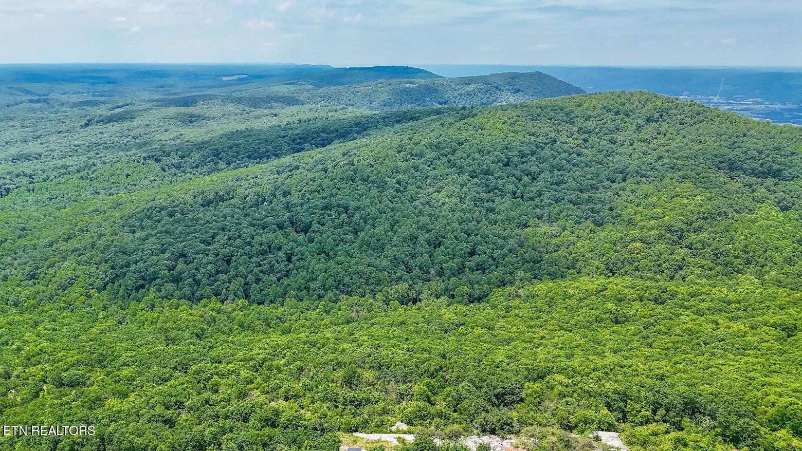 1407 Holloway Ridge Rd, Spring City, TN 37381 — photo 2