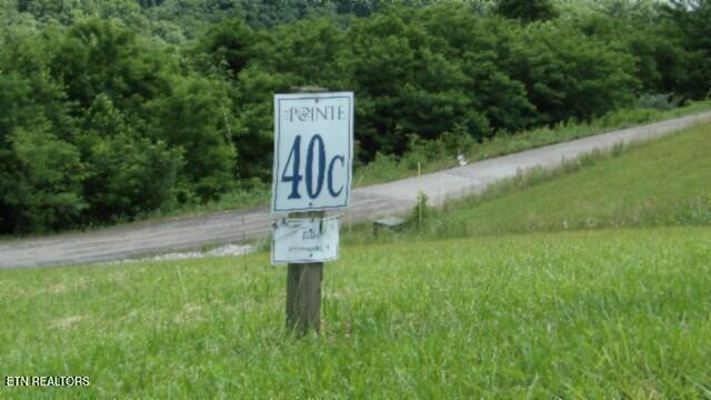 Lot 40C Swan Ridge Road, Hilham TN 38568 — photo 2