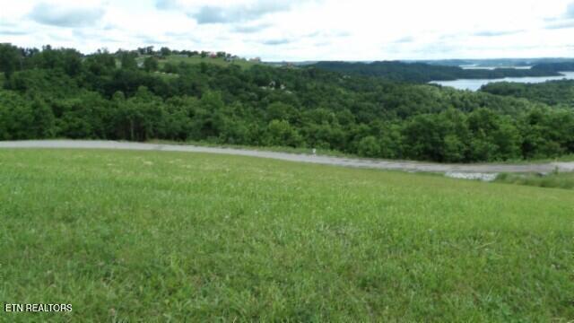 Lot 40C Swan Ridge Road, Hilham TN 38568 — photo 3