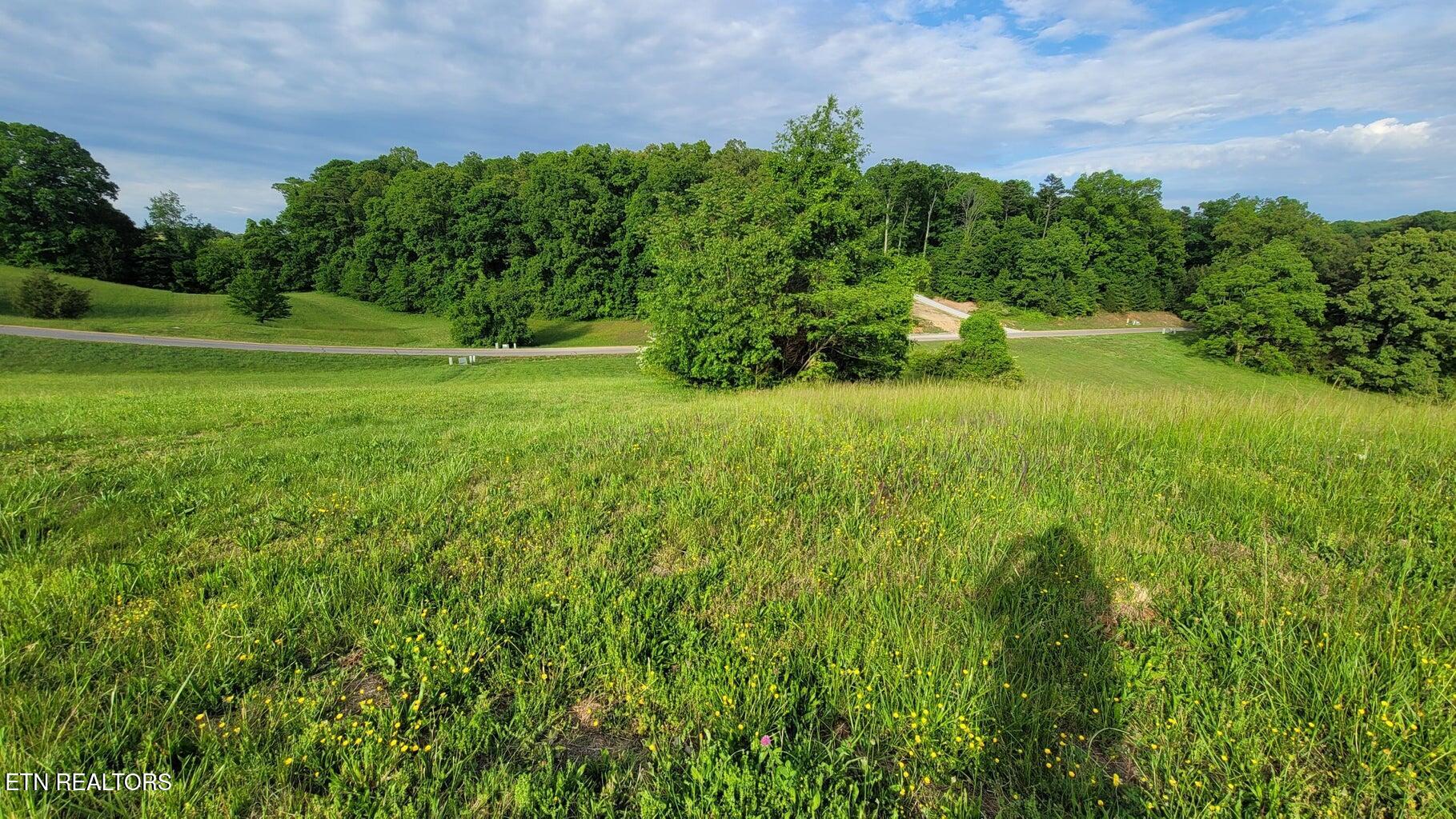 Shiloh Springs Rd, Rutledge, TN 37861