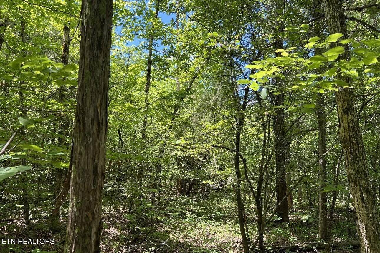 158 Eagle Ridge Rd, Kingston, TN 37763 — photo 2