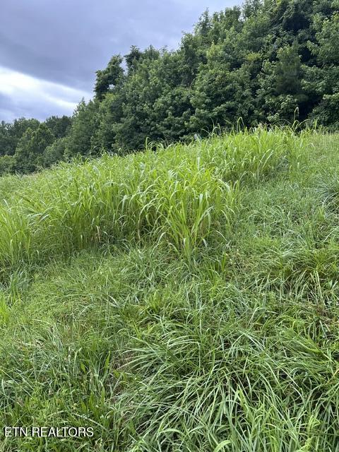 Mill Drive, Decatur, TN 37322 — photo 2