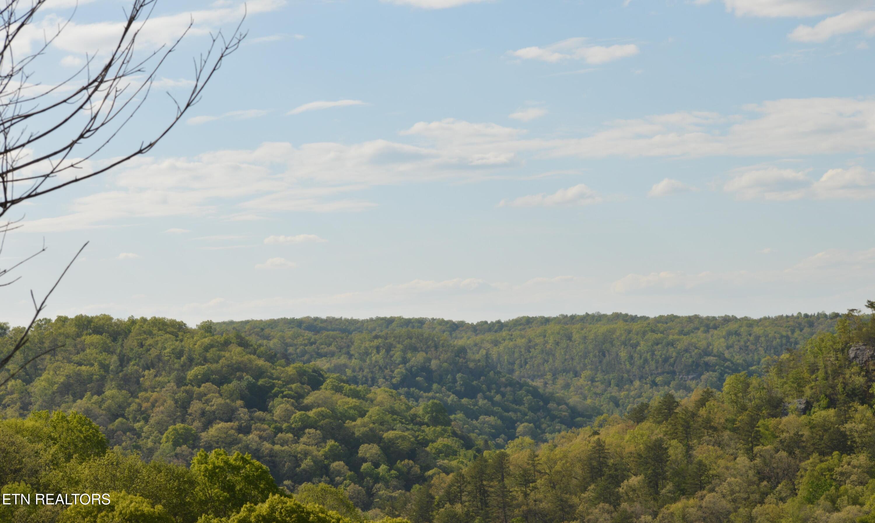 1501 Rob Watson Rd, Oneida, TN 37841 — photo 2