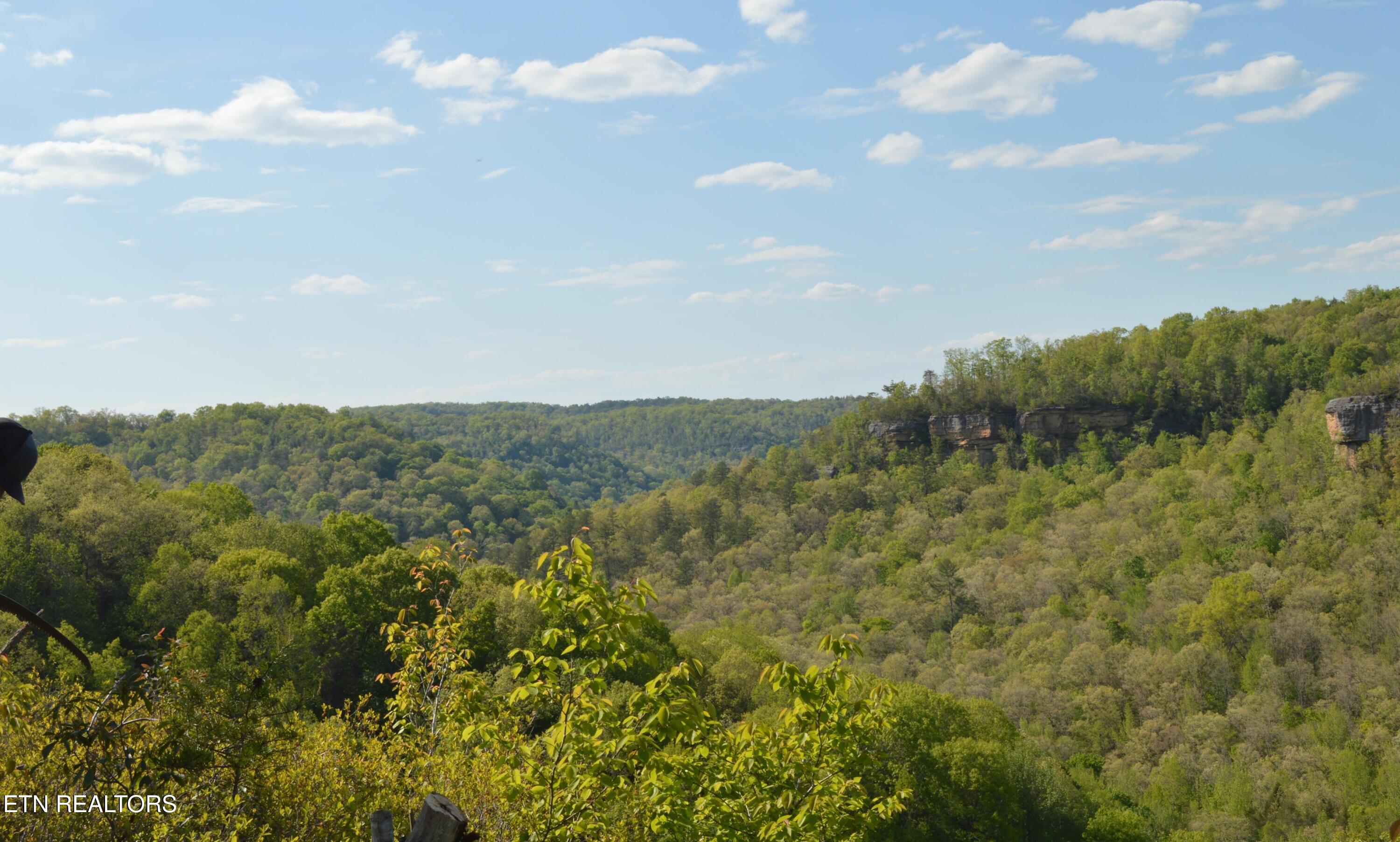1501 Rob Watson Rd, Oneida, TN 37841 — photo 3