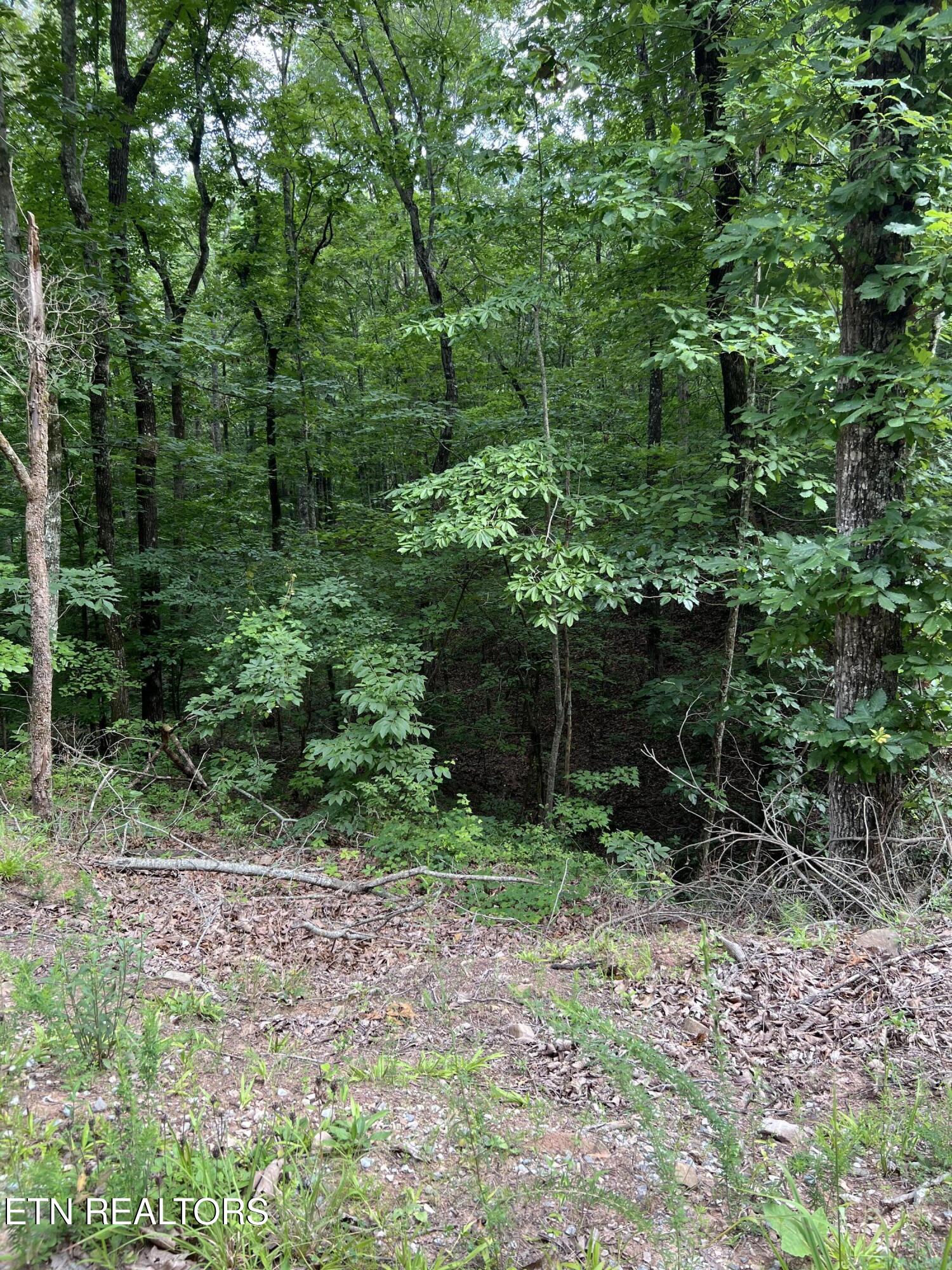 Three Point Rd, Vonore, TN 37885