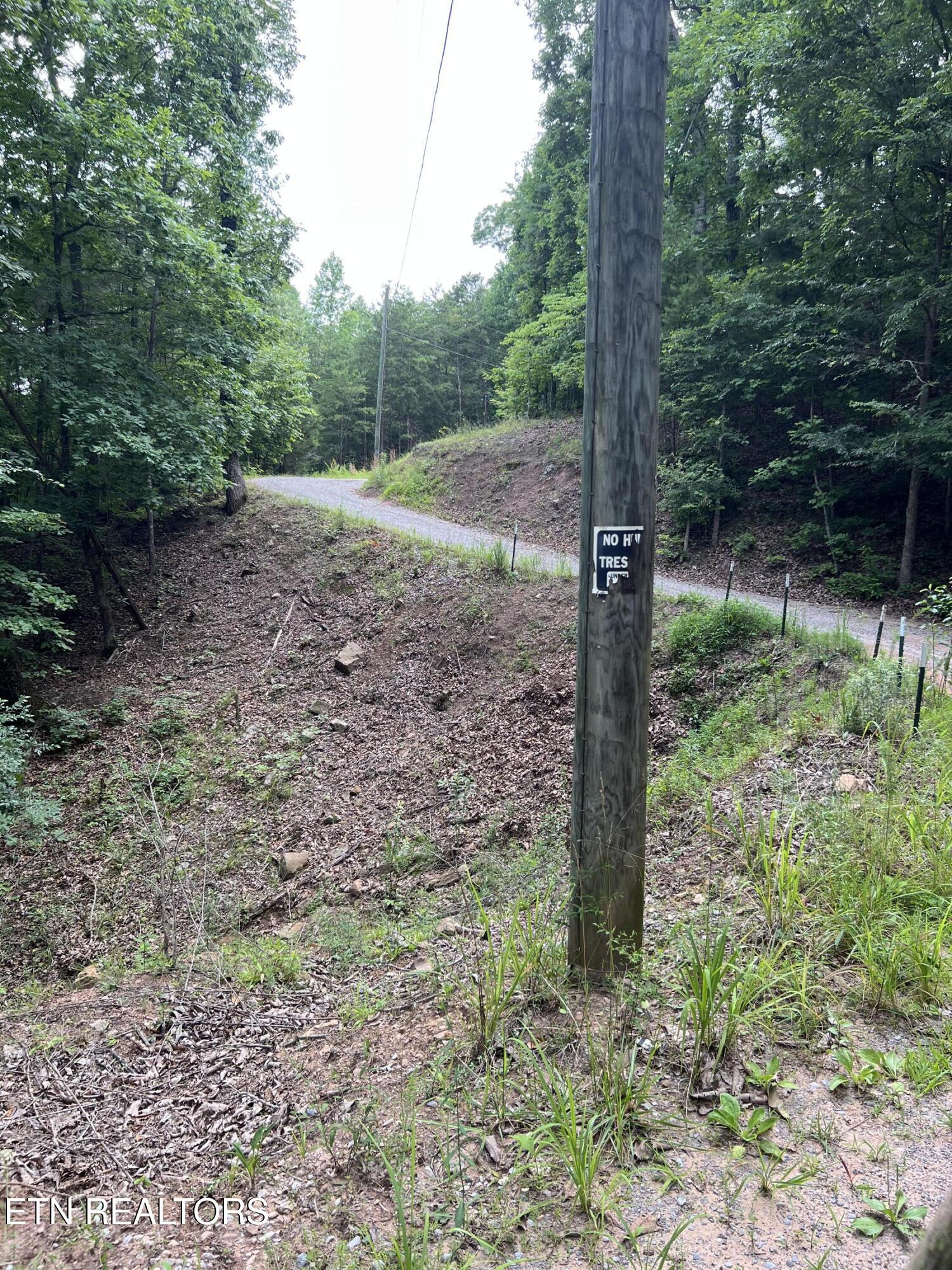 Three Point Rd, Vonore, TN 37885 — photo 2