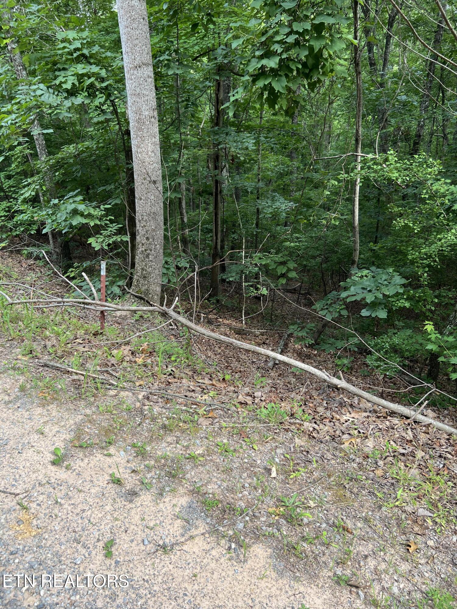 Three Point Rd, Vonore, TN 37885 — photo 3