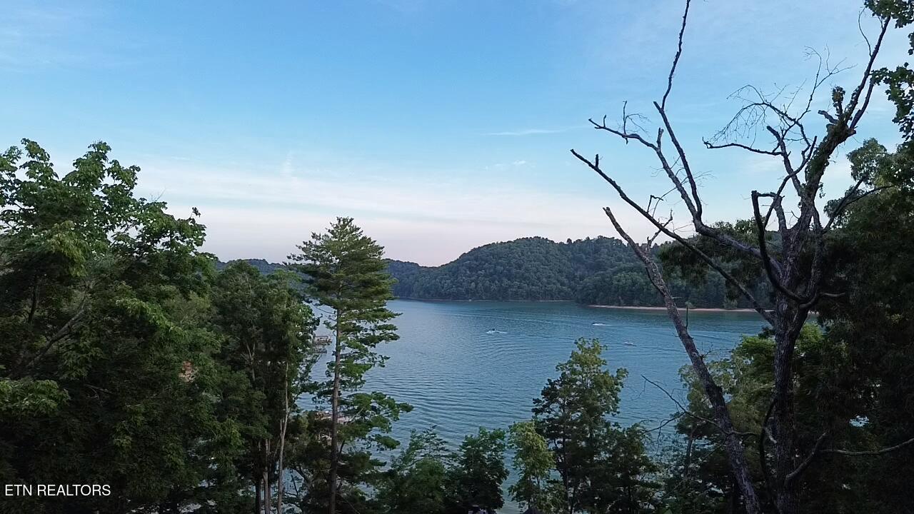 Cove Pointe Rd, LaFollette, TN 37766 — photo 2