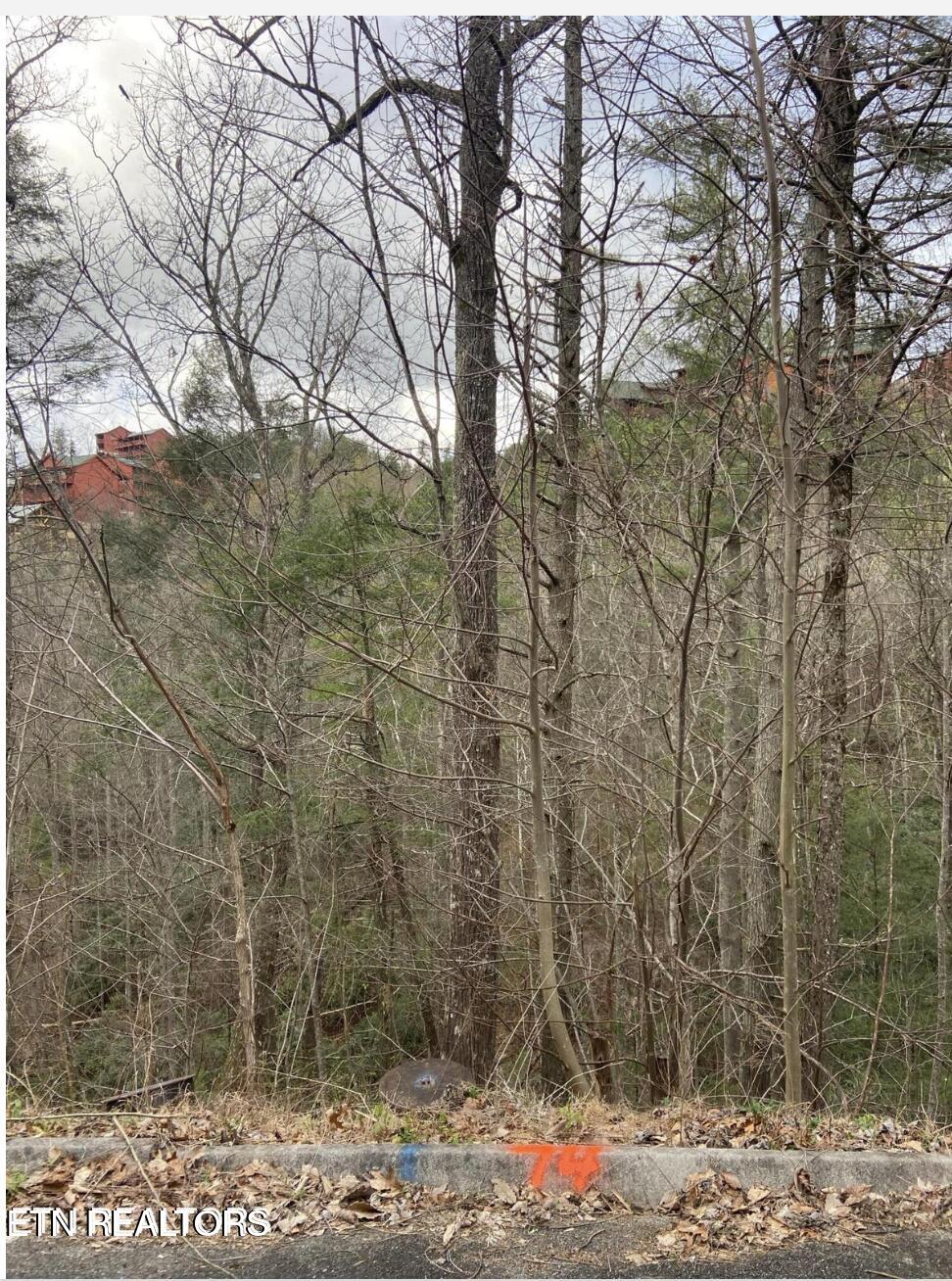 Lot #74 Smoky Ridge Way, Sevierville, TN 37862 — photo 2