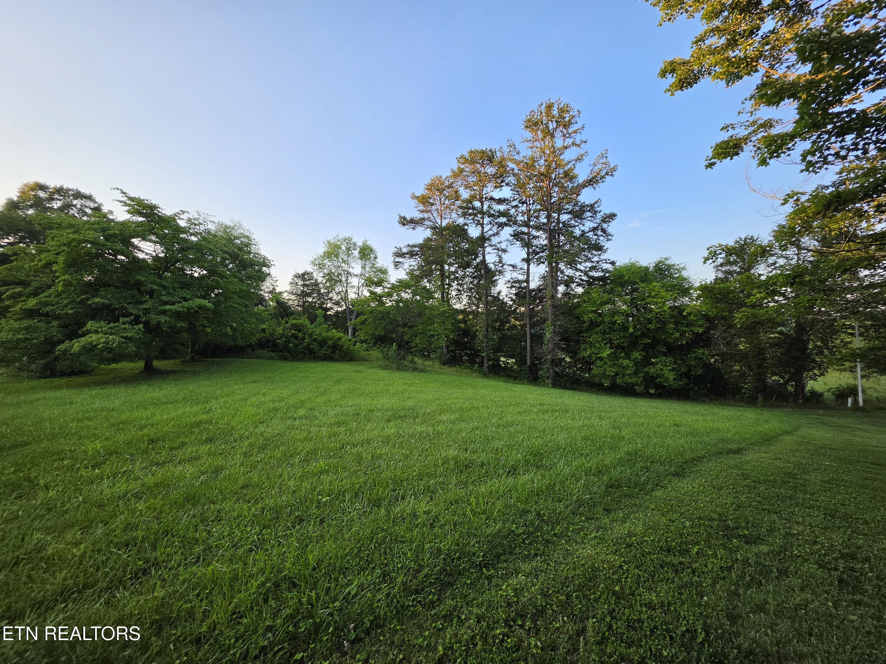 Campbell Rd, New Tazewell, TN 37825 — photo 3