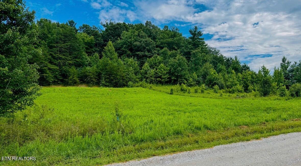 Clay Boyatt Rd, Oneida, TN 37841