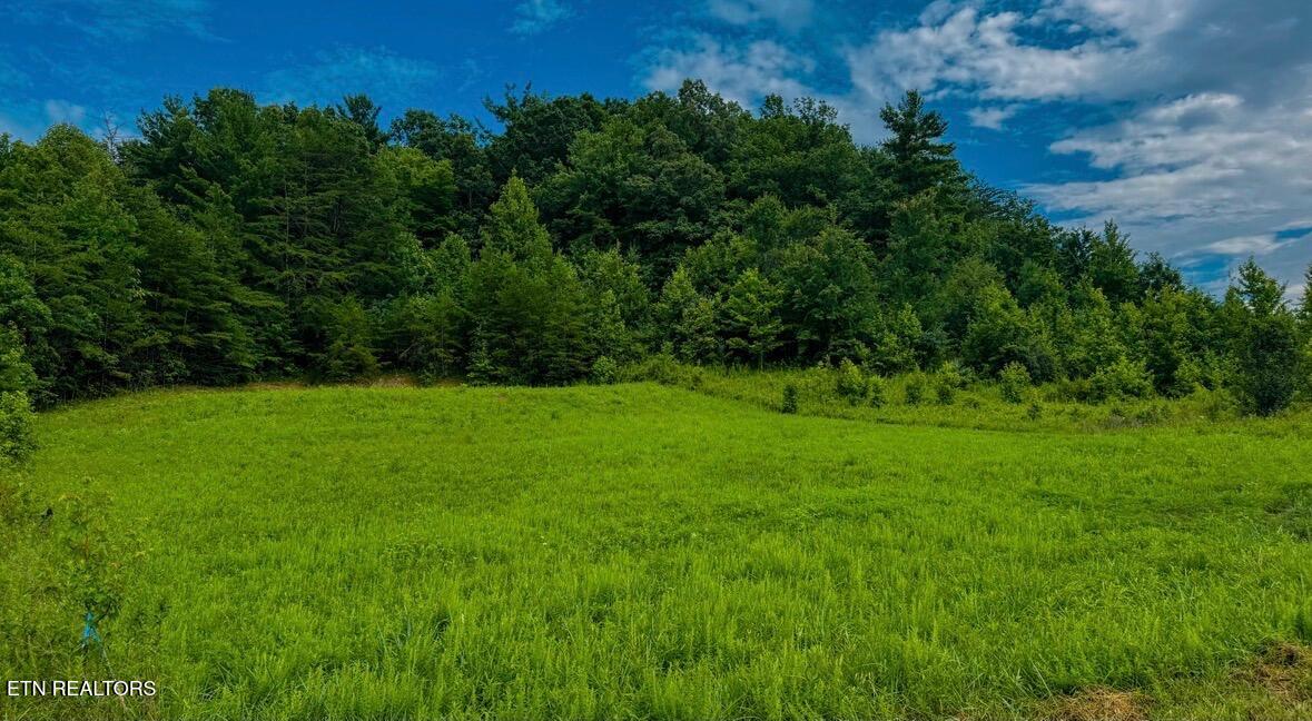 Clay Boyatt Rd, Oneida, TN 37841 — photo 2