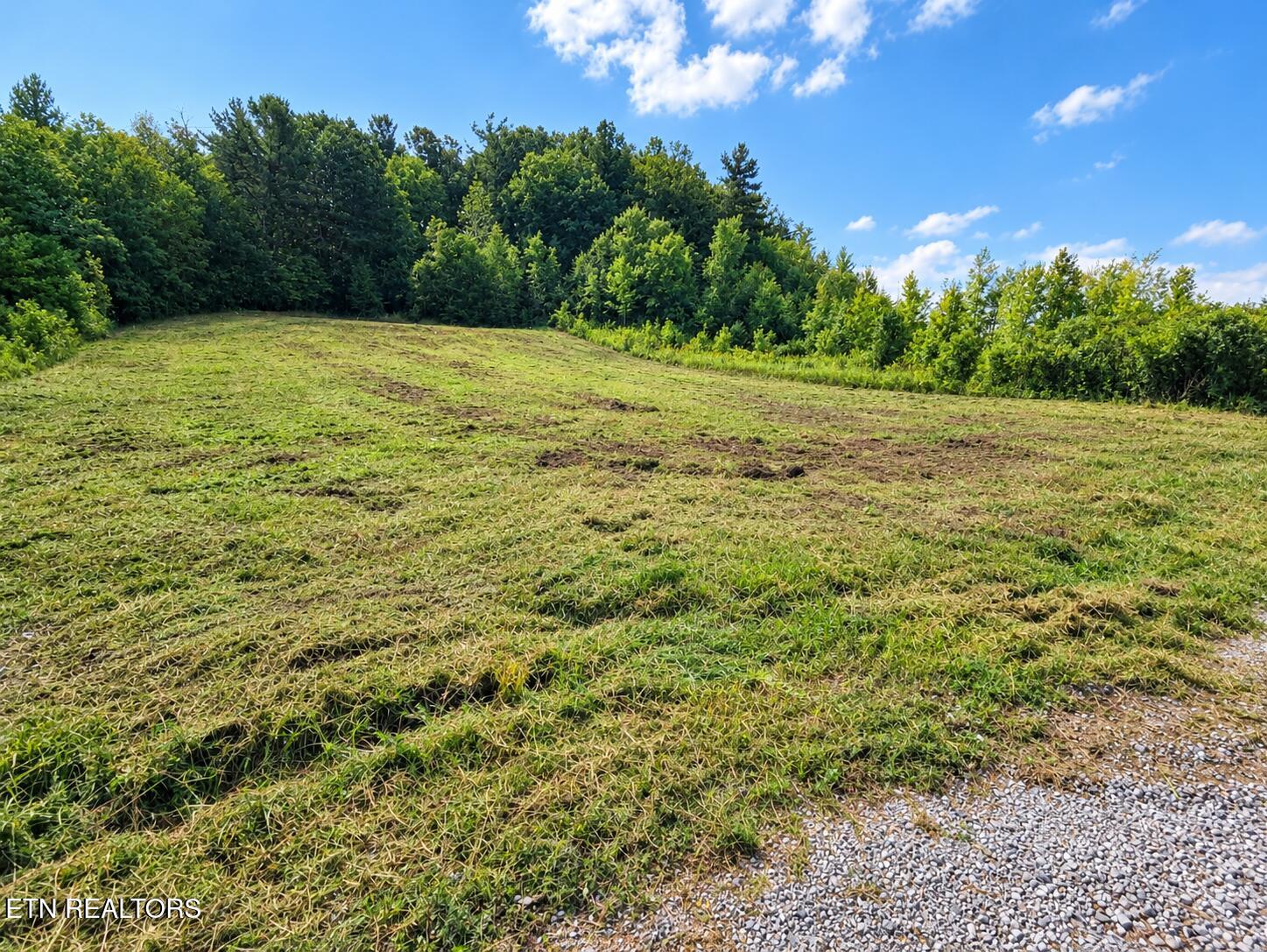 Clay Boyatt Rd, Oneida, TN 37841 — photo 3