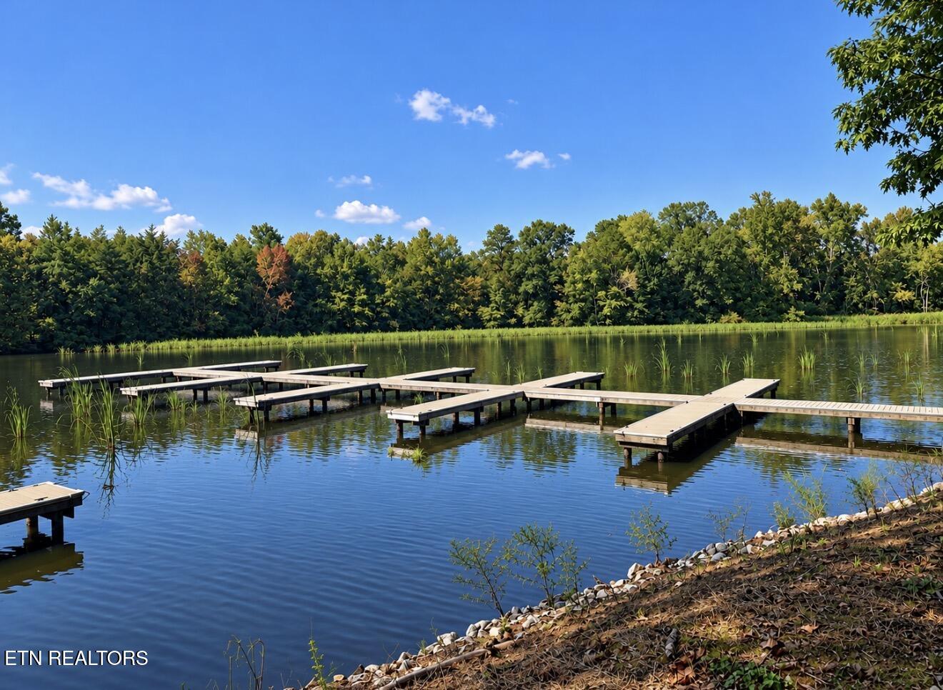 The Gates Drive, Decatur, TN 37322 — photo 3