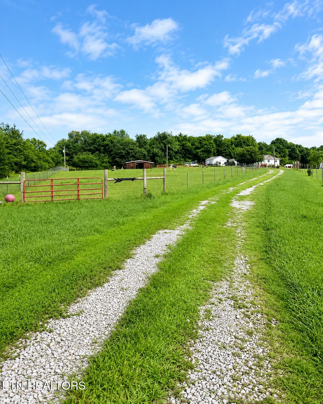 1674 Goodfield Road, Decatur TN 37322 — photo 3
