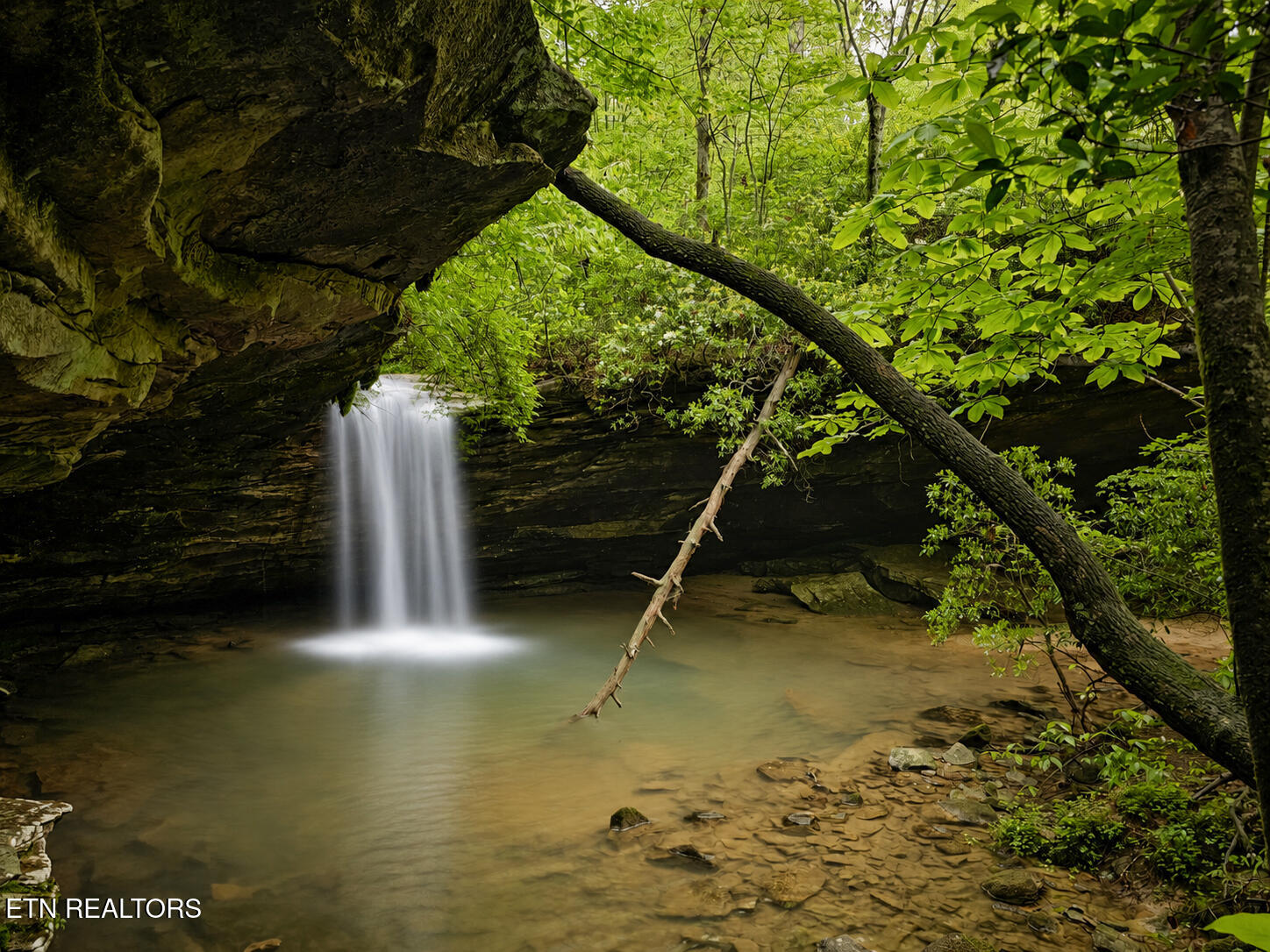 Dripping Springs Rd, Monterey, TN 38574 — photo 3