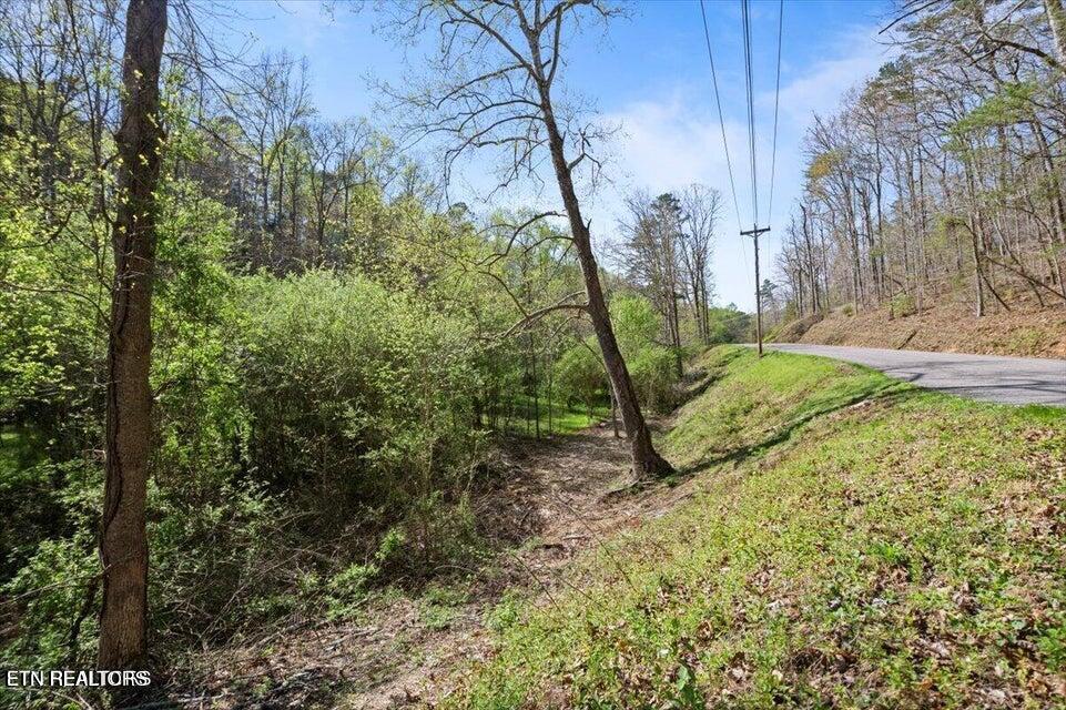 Rainbow View Rd, LaFollette, TN 37766 — photo 3