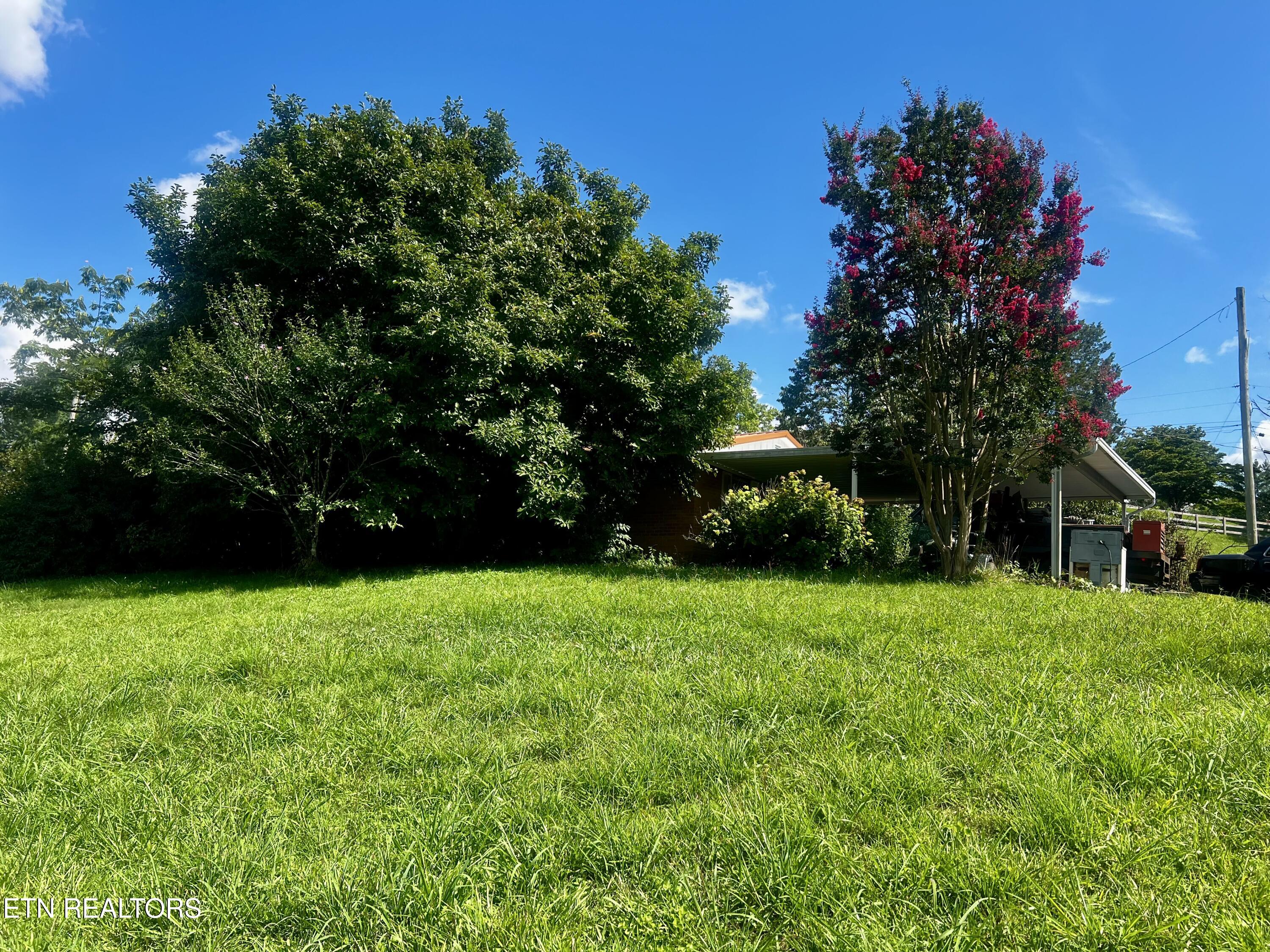 171 Cumberland Rd, Harrogate, TN 37752 — photo 3
