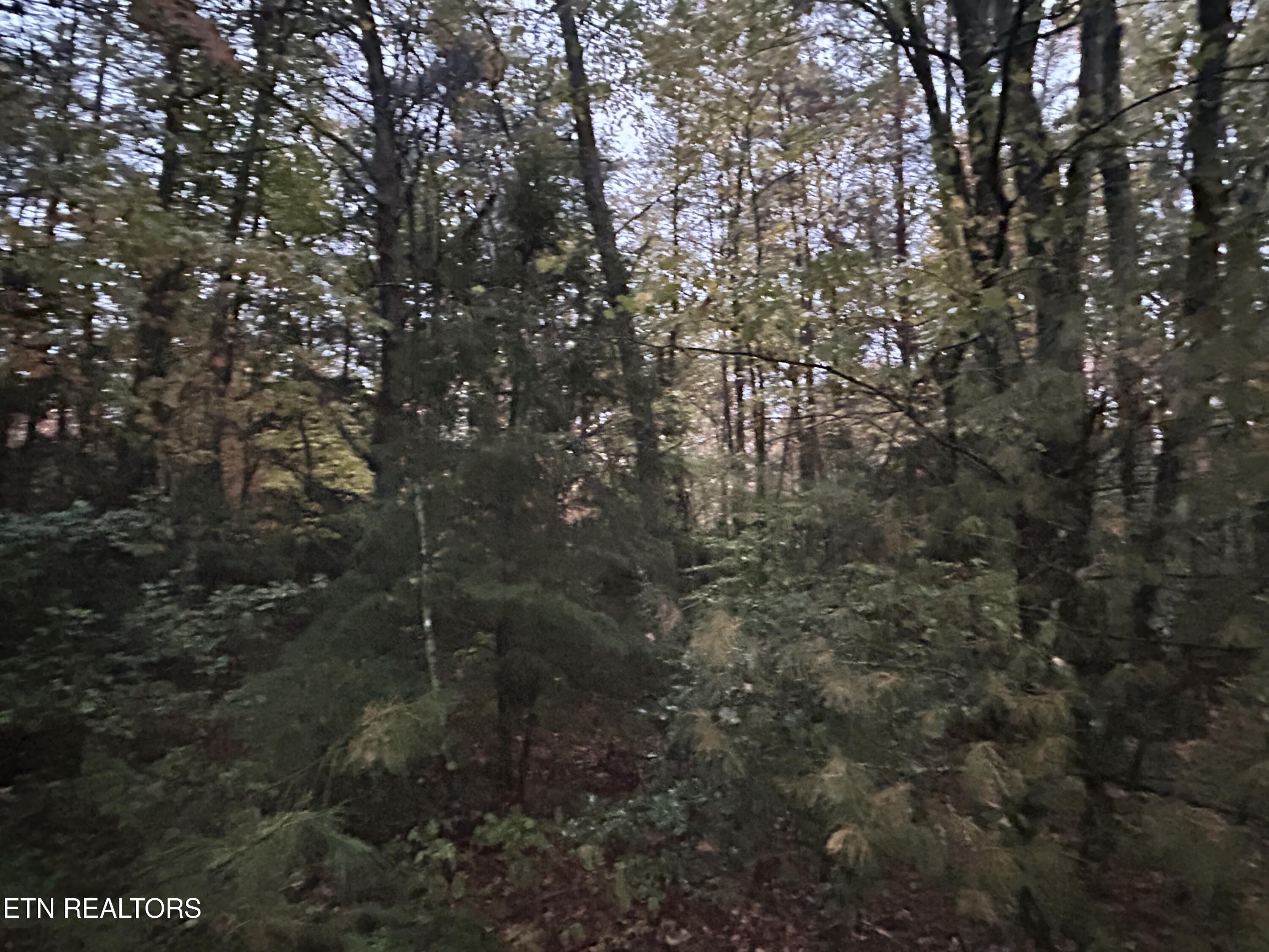 Wilder Rd, Clarkrange, TN 38553