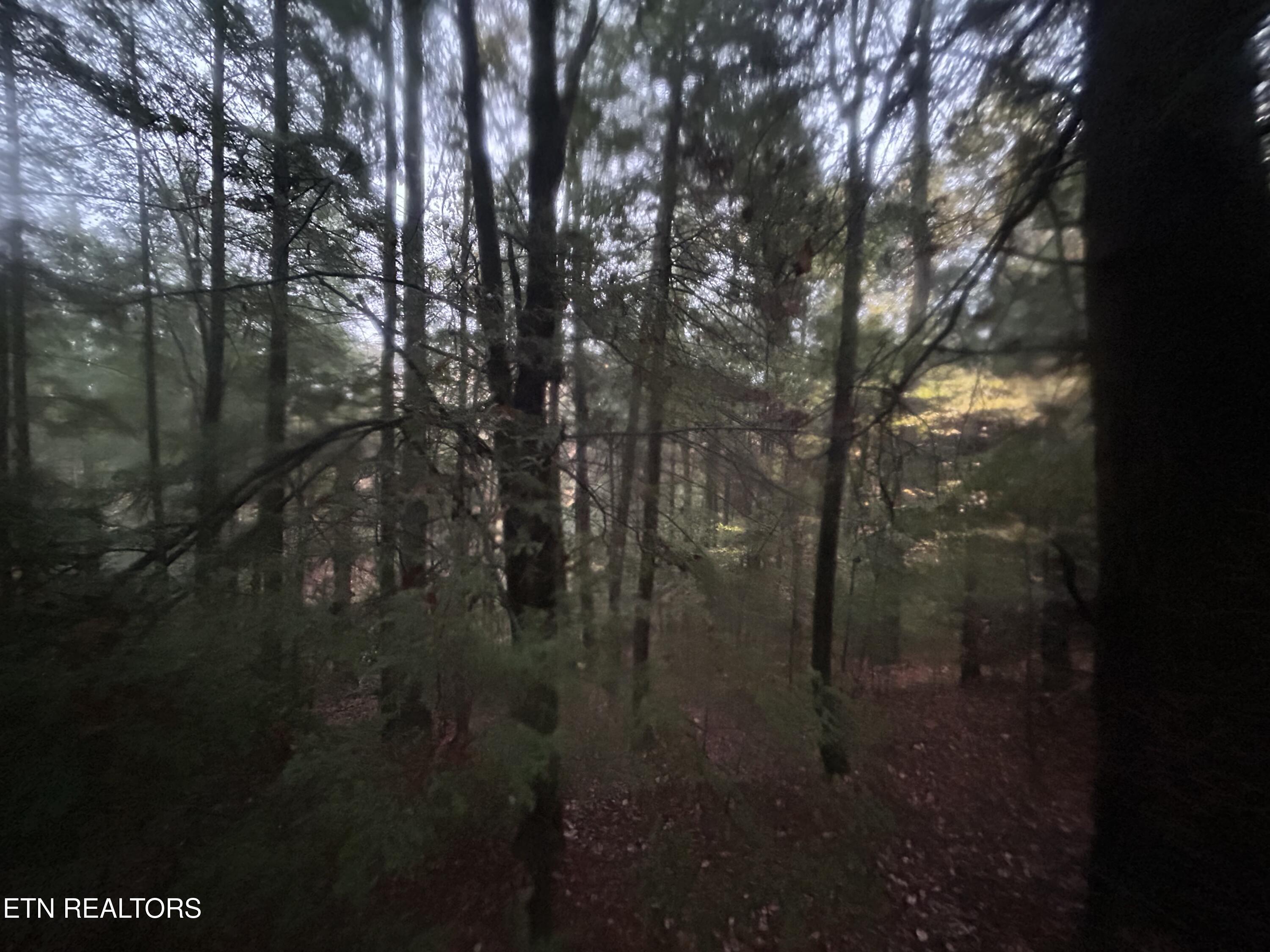 Wilder Rd, Clarkrange, TN 38553 — photo 3