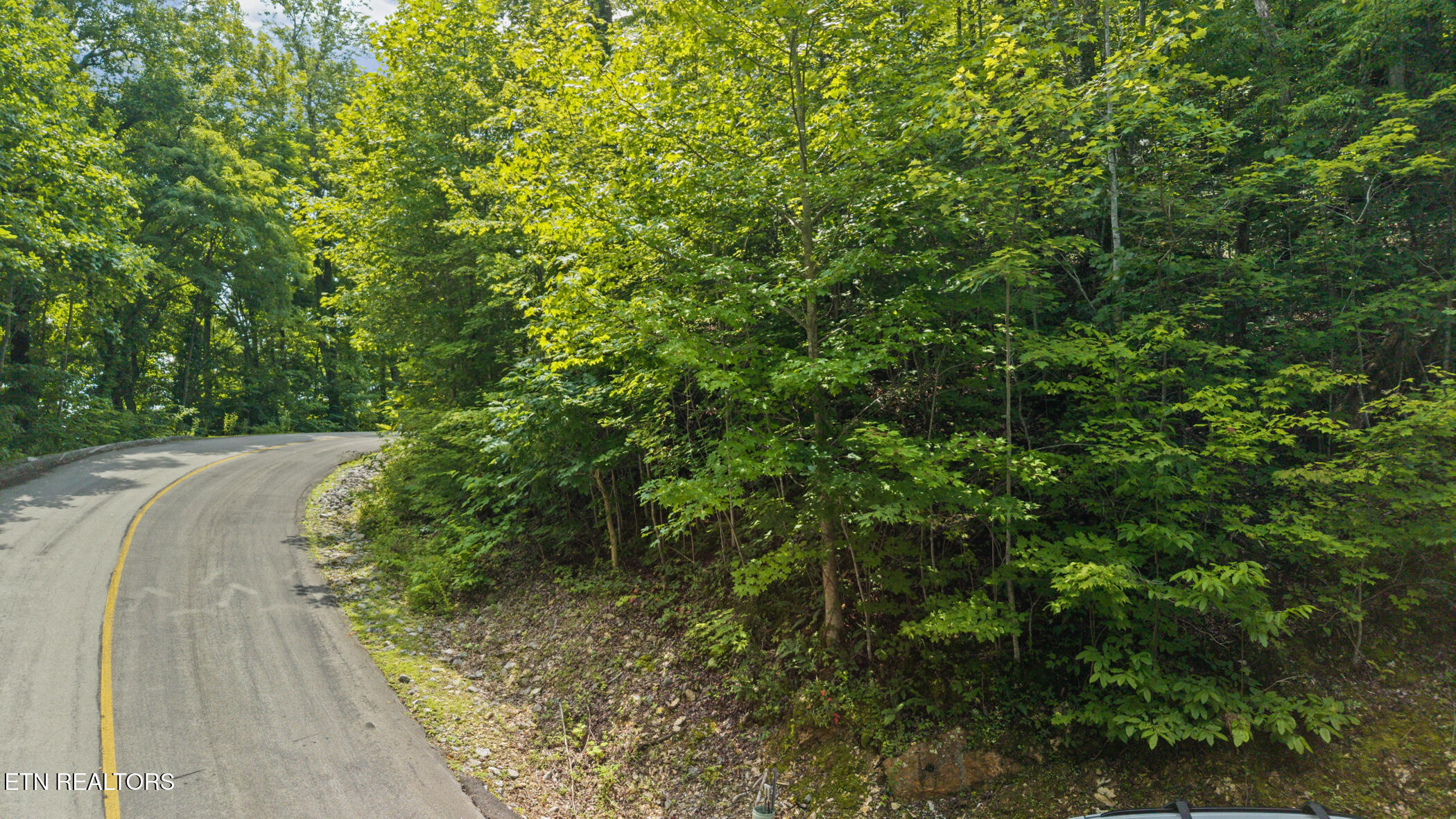 Whetstone Rd, Sevierville, TN 37862