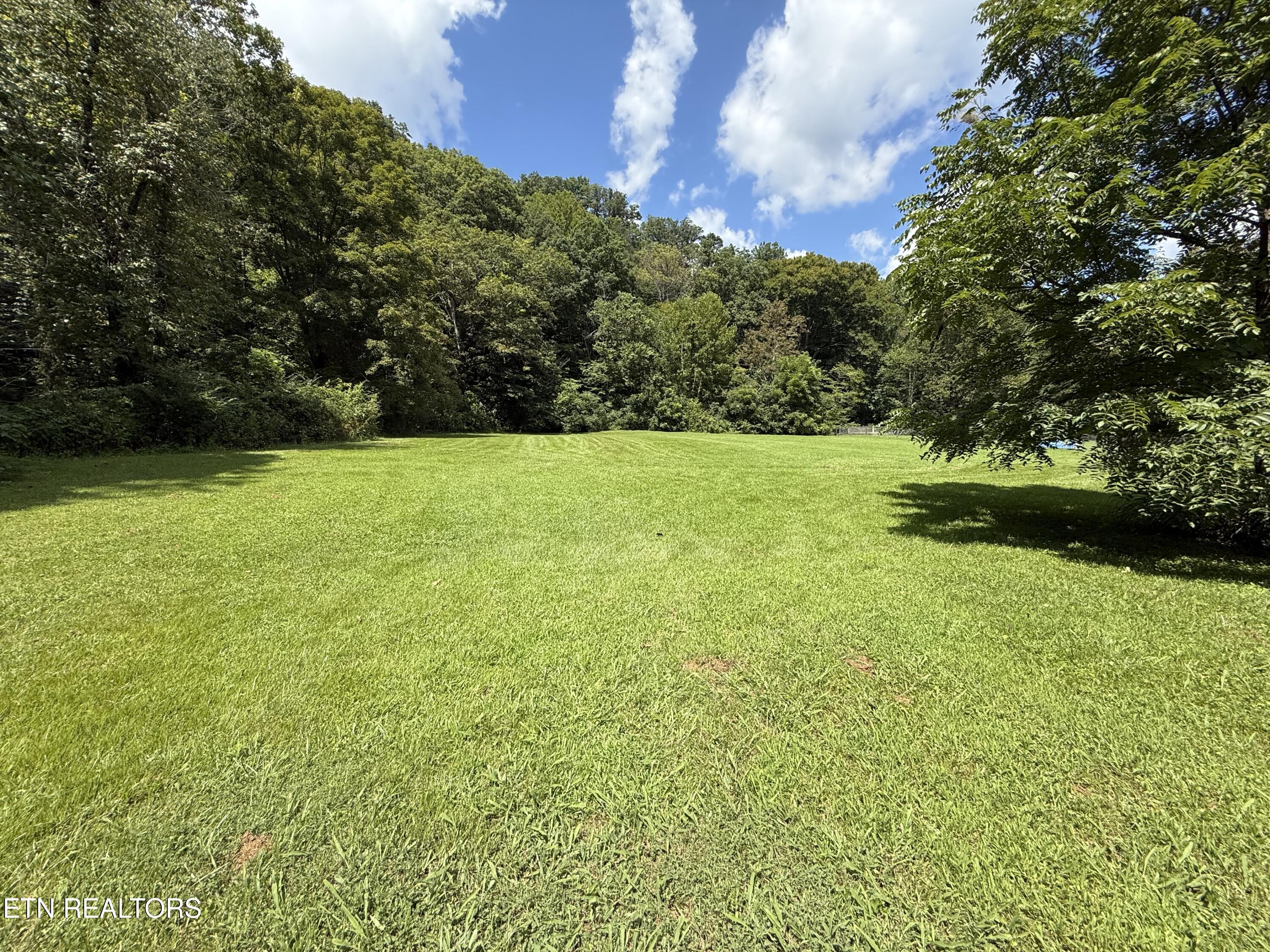 353 Cotula Rd, Duff, TN 37729 — photo 3