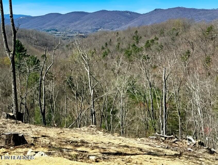 Demory Rd, LaFollette, TN 37766 — photo 2