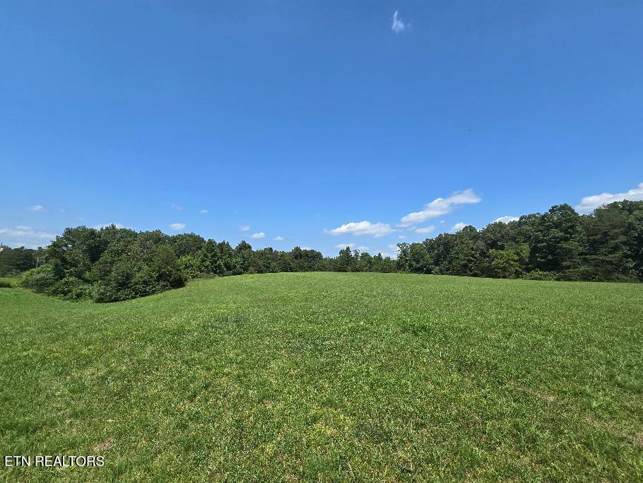 Al Martin Rd, Robbins, TN 37852