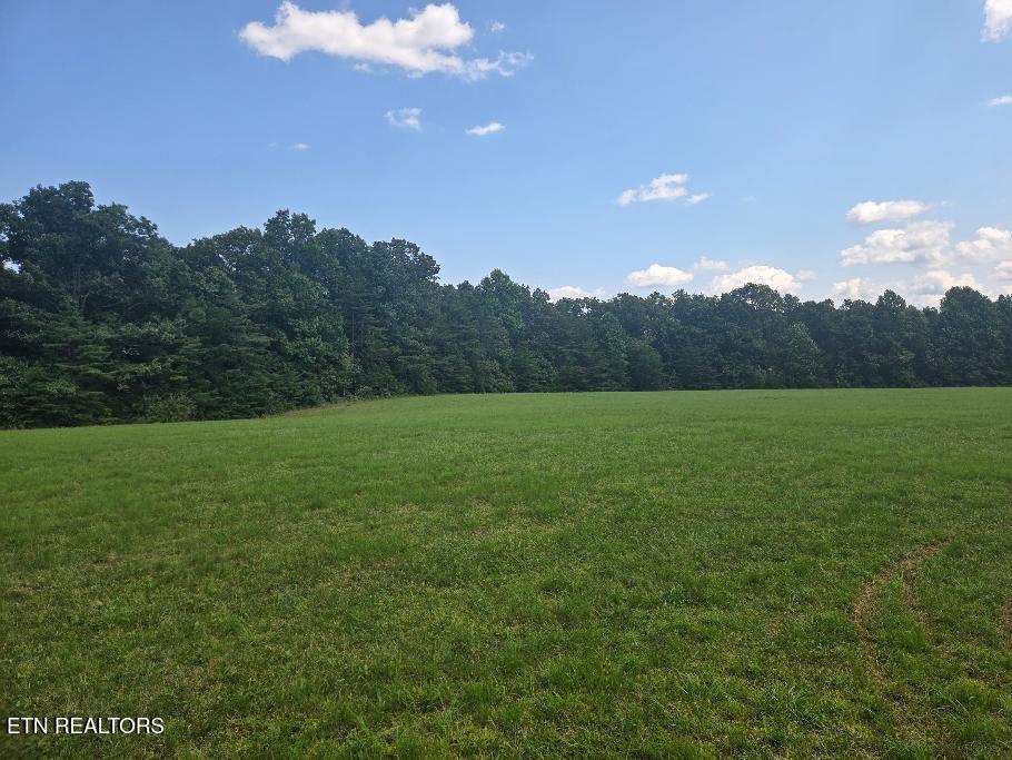 Al Martin Rd, Robbins, TN 37852 — photo 2