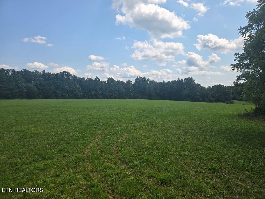 Al Martin Rd, Robbins, TN 37852 — photo 3