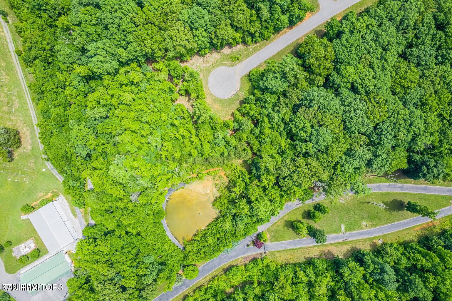 439 Ridgeway Pass, Spring City, TN 37381 — photo 2
