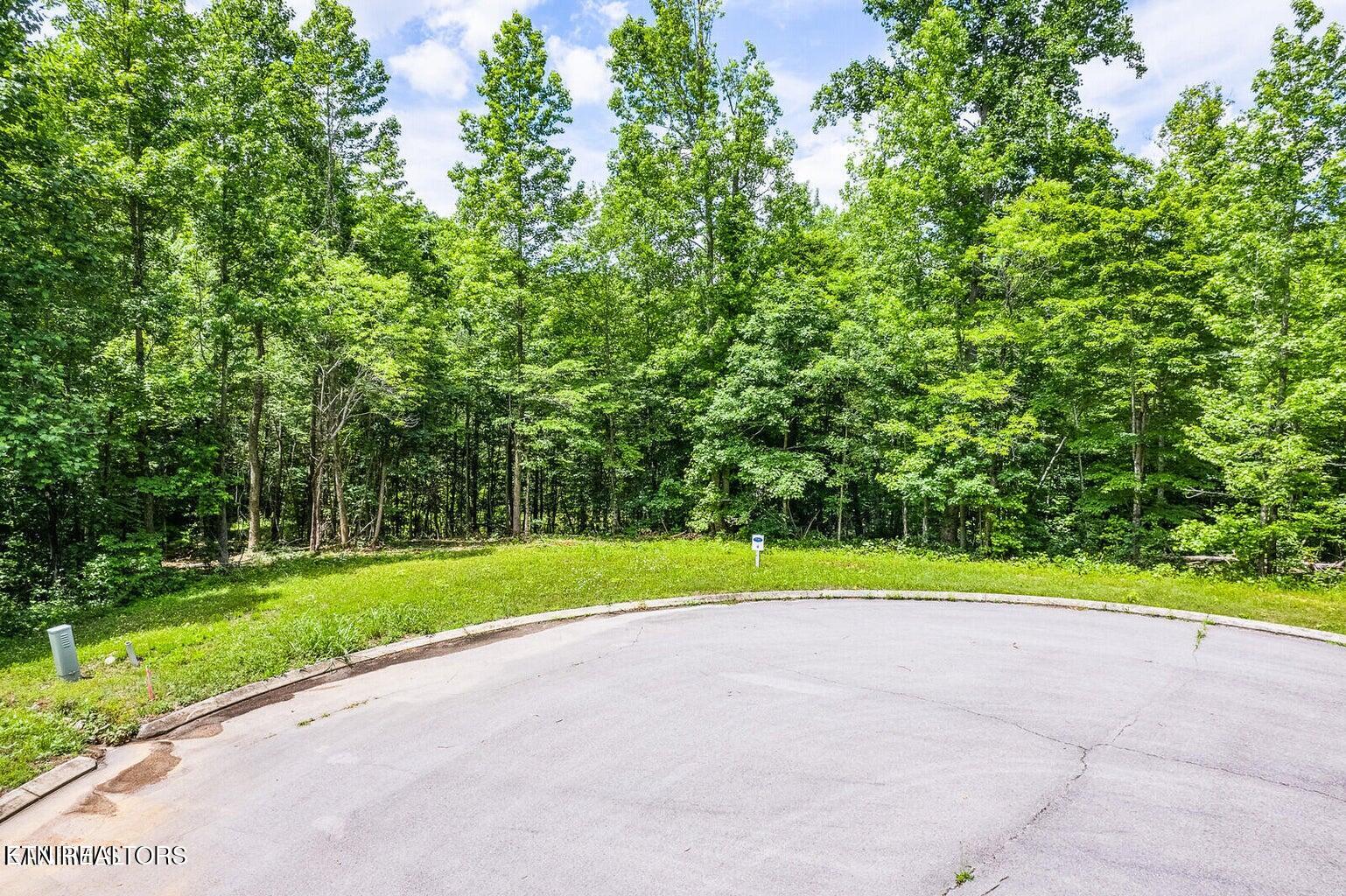 439 Ridgeway Pass, Spring City, TN 37381 — photo 3