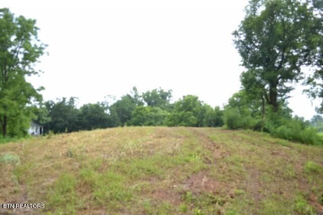 2390 Pea Ridge Fire Tower Rd, Celina, TN 38551