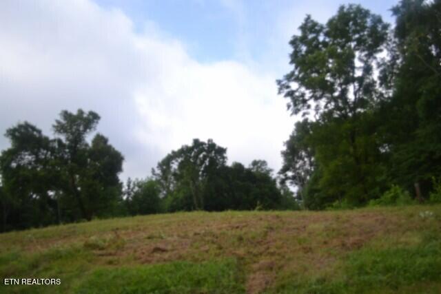 2390 Pea Ridge Fire Tower Rd, Celina, TN 38551 — photo 2