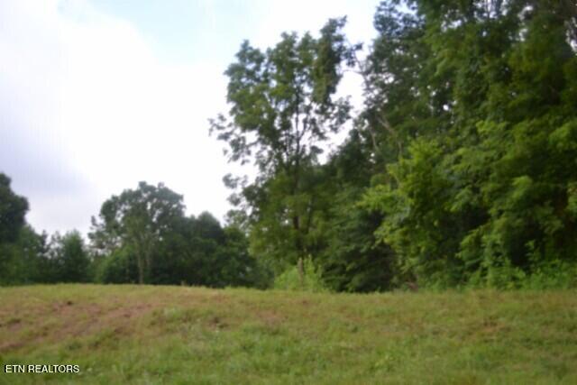 2390 Pea Ridge Fire Tower Rd, Celina, TN 38551 — photo 3