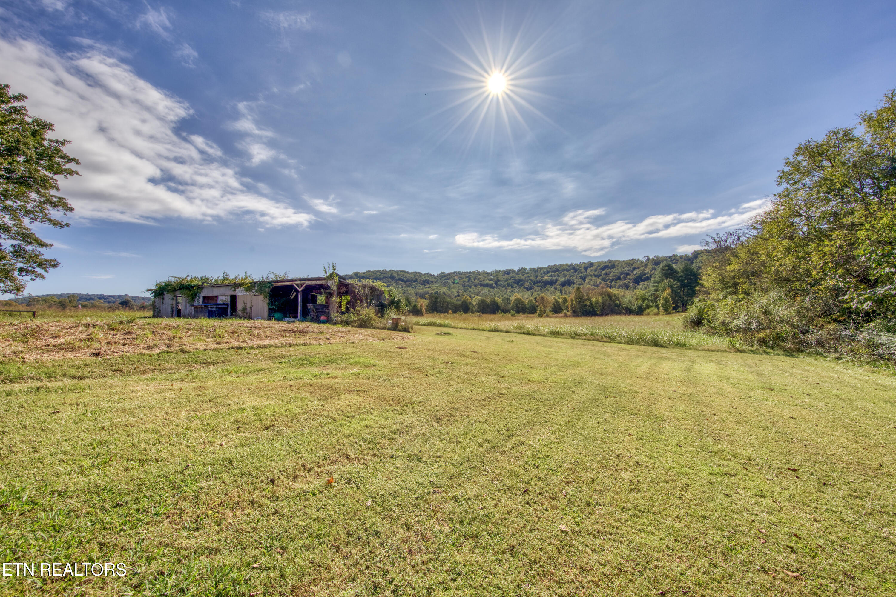 3243 Hall Rd, Loudon, TN 37774 — photo 3