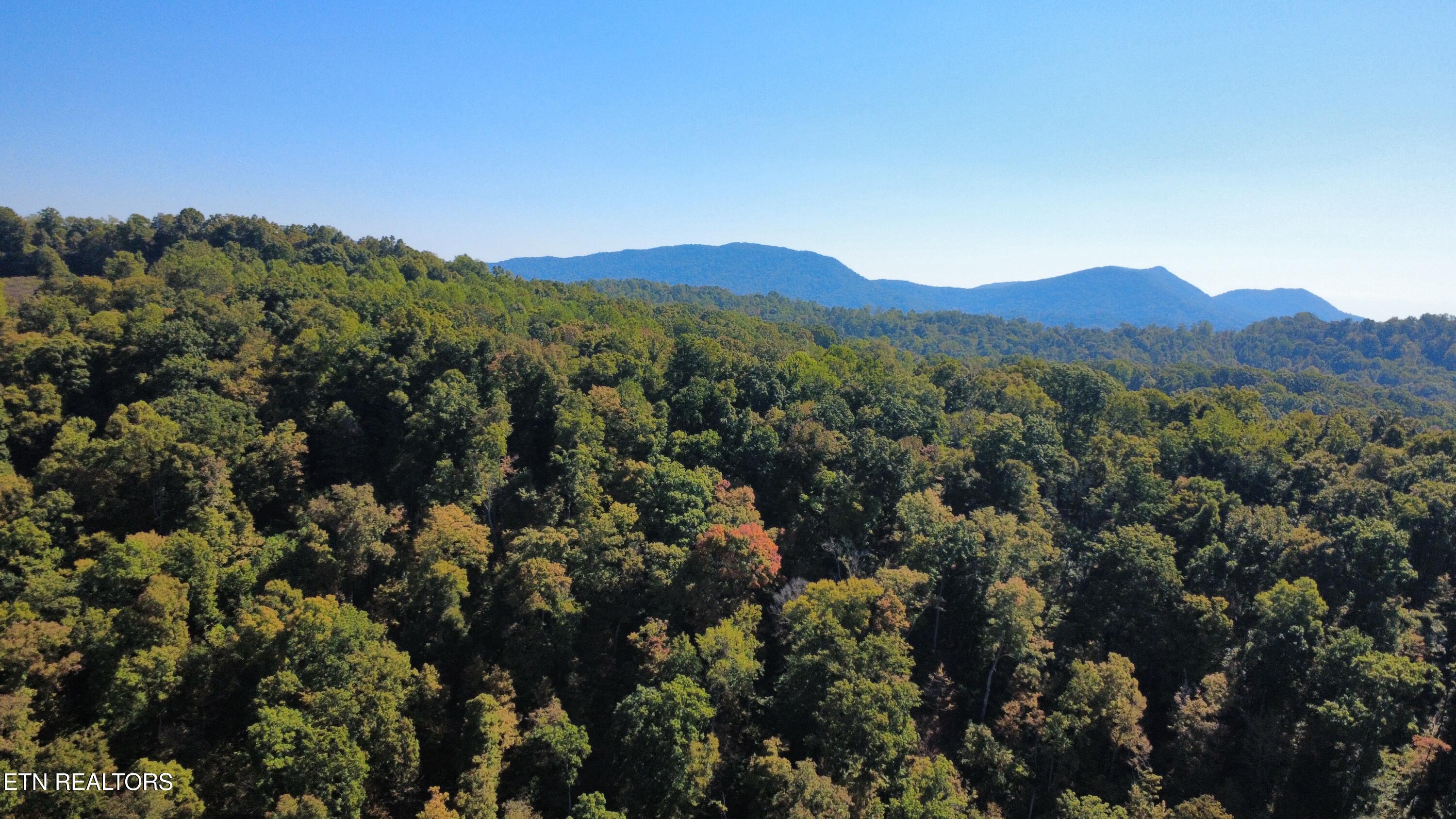 771 Archer Rd, Luttrell, TN 37779 — photo 3